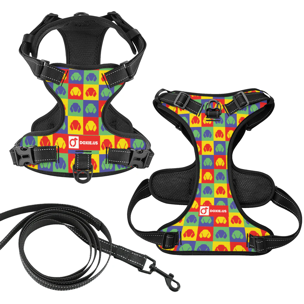 Chili - No-Pull Dachshund Dog Harness - Image 4