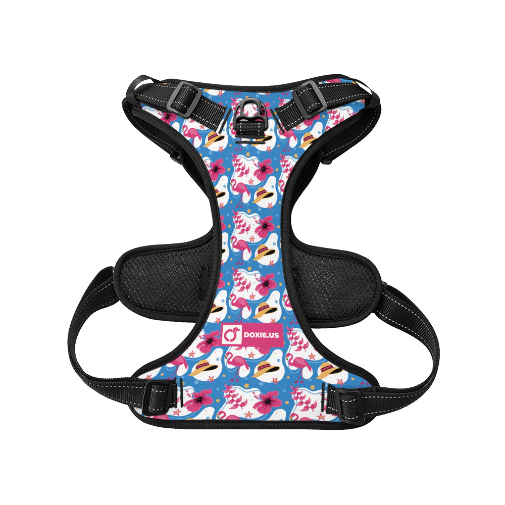 Pretzel - No-Pull Dachshund Dog Harness - Image 4