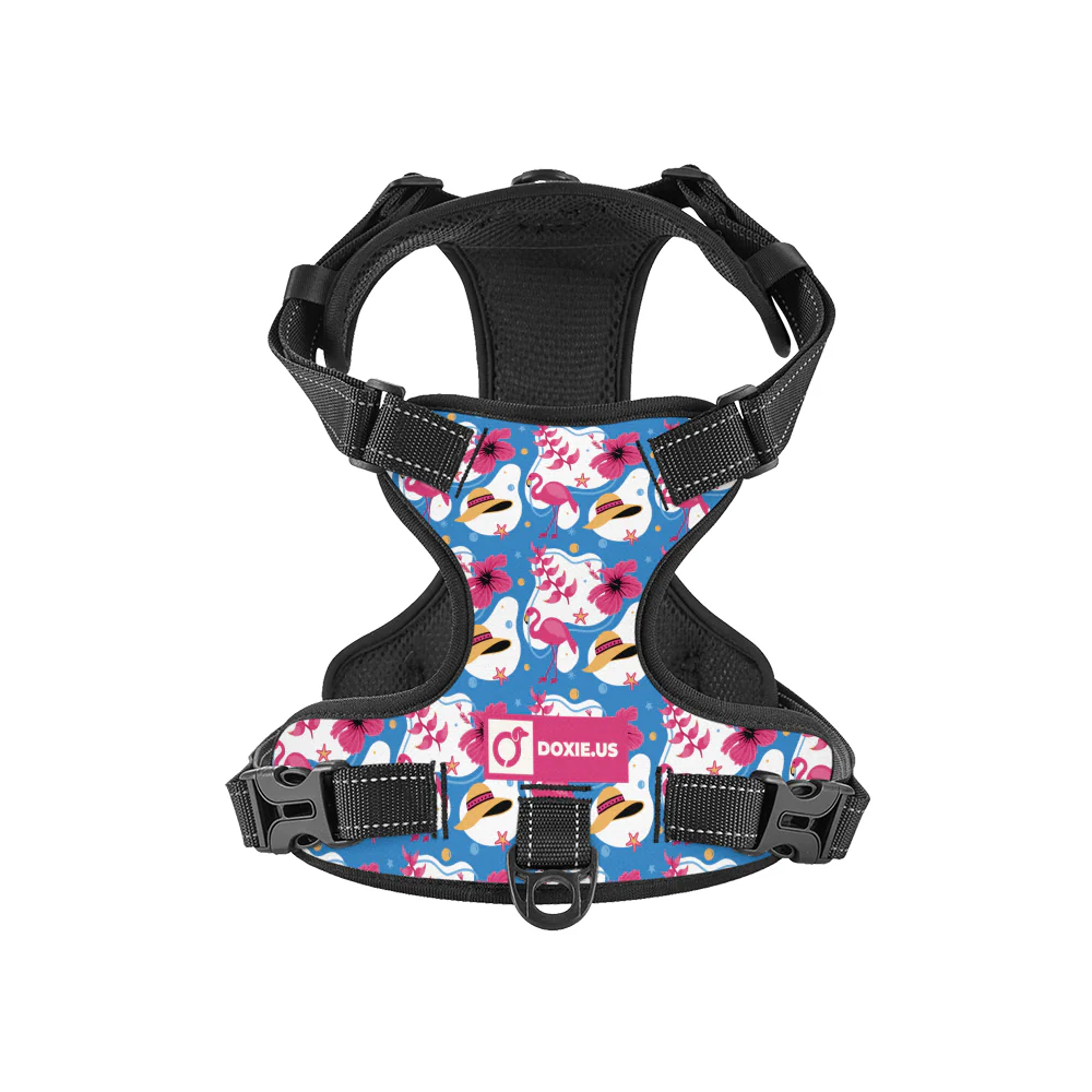 Pretzel - No-Pull Dachshund Dog Harness - Image 6