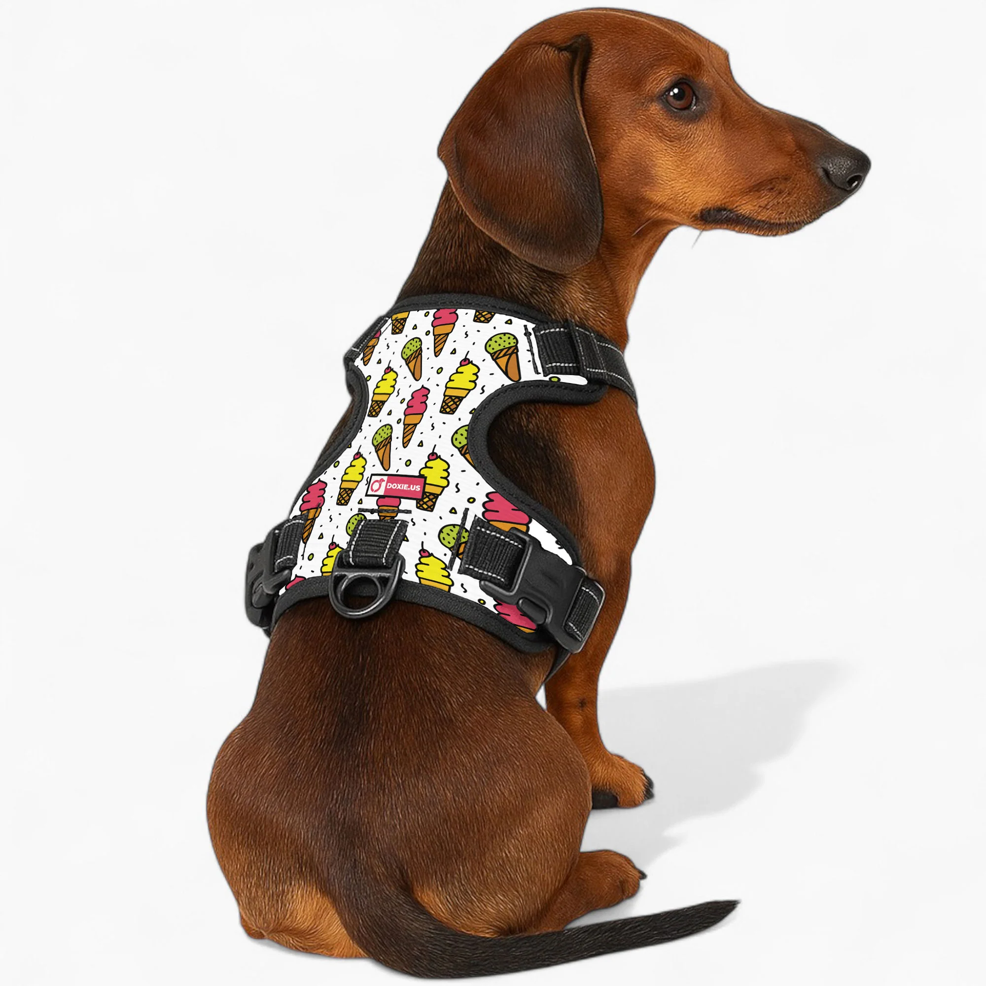 Frank - No-Pull Dachshund Dog Harness - Image 2