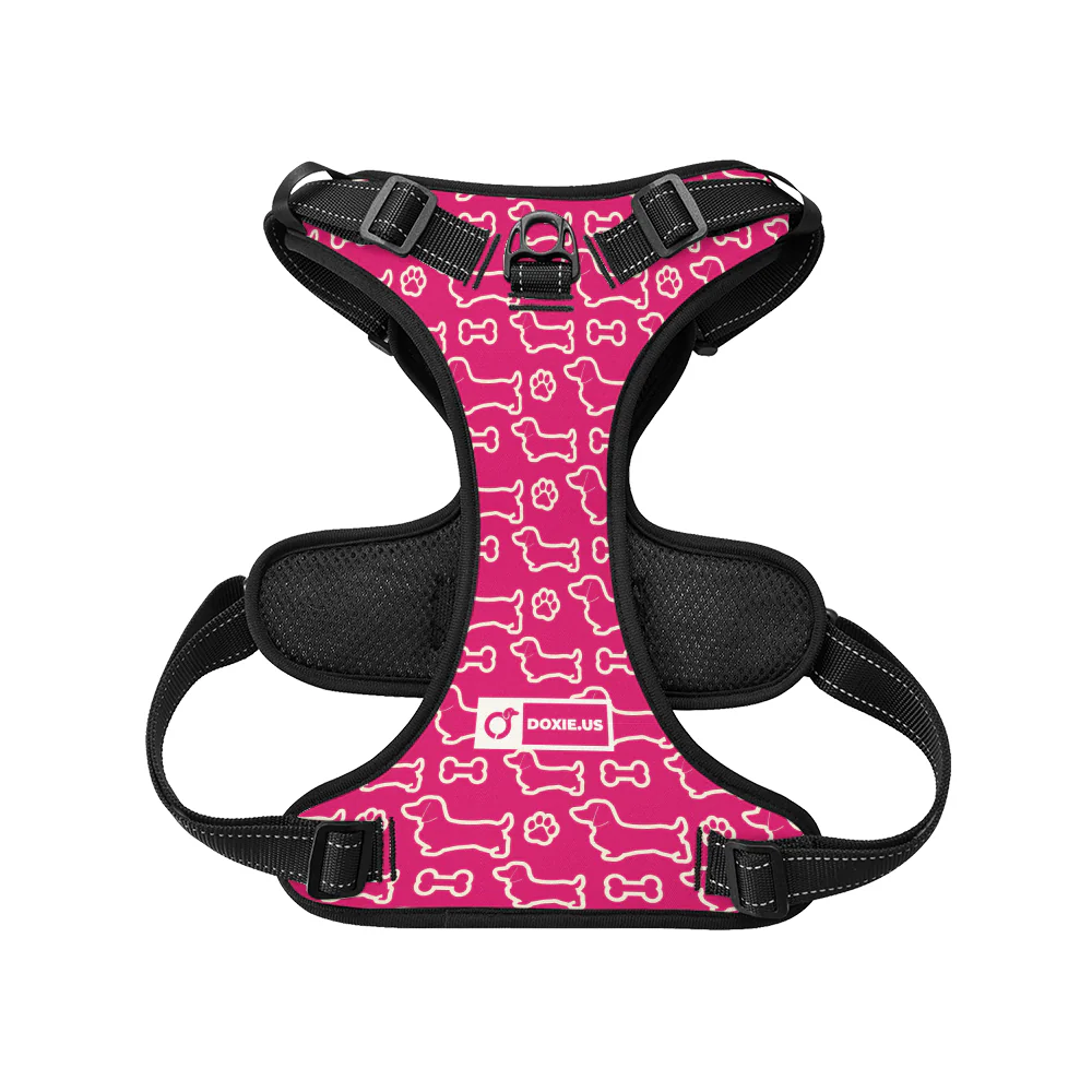 Rusty - No-Pull Dachshund Dog Harness - Image 4