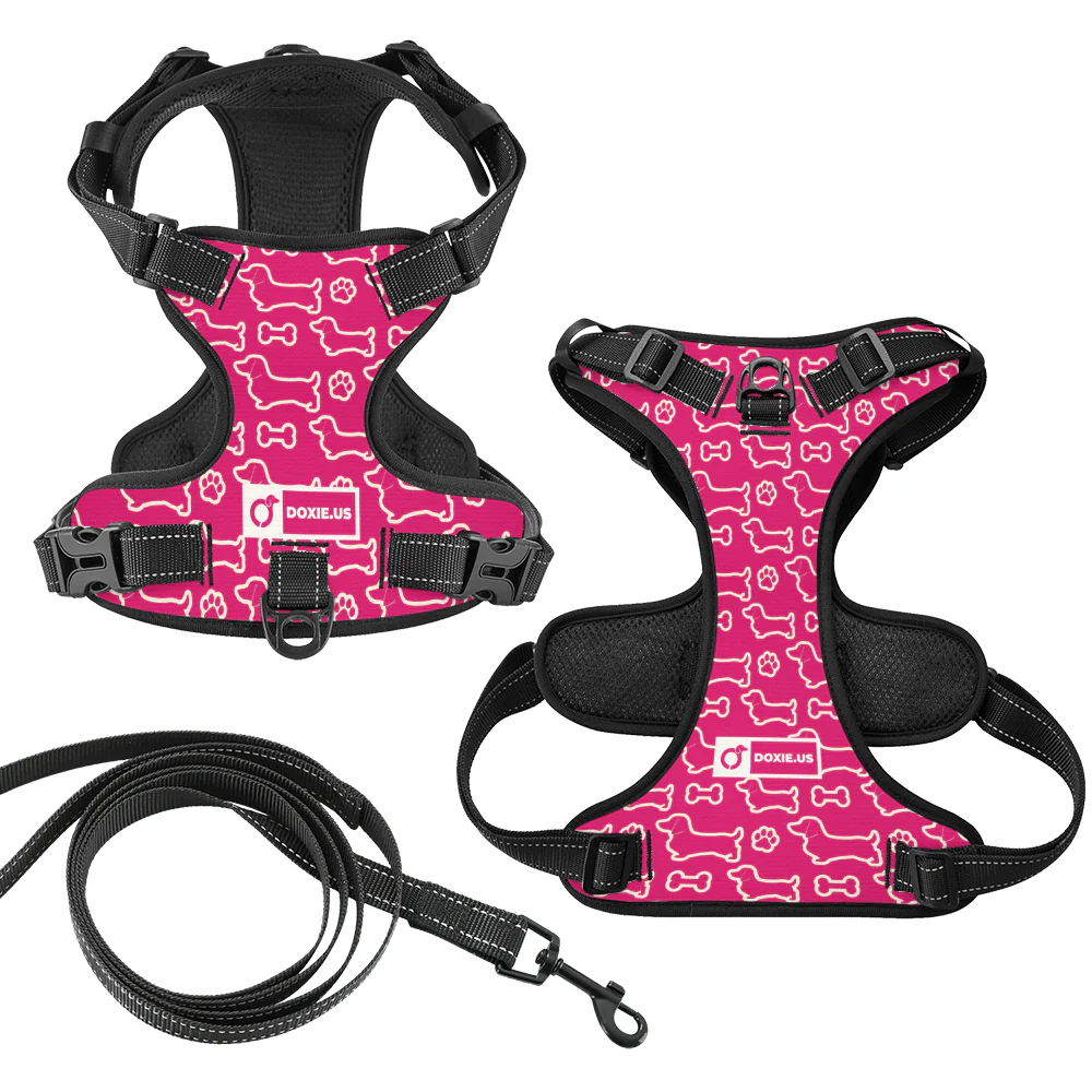 Rusty - No-Pull Dachshund Dog Harness - Image 5