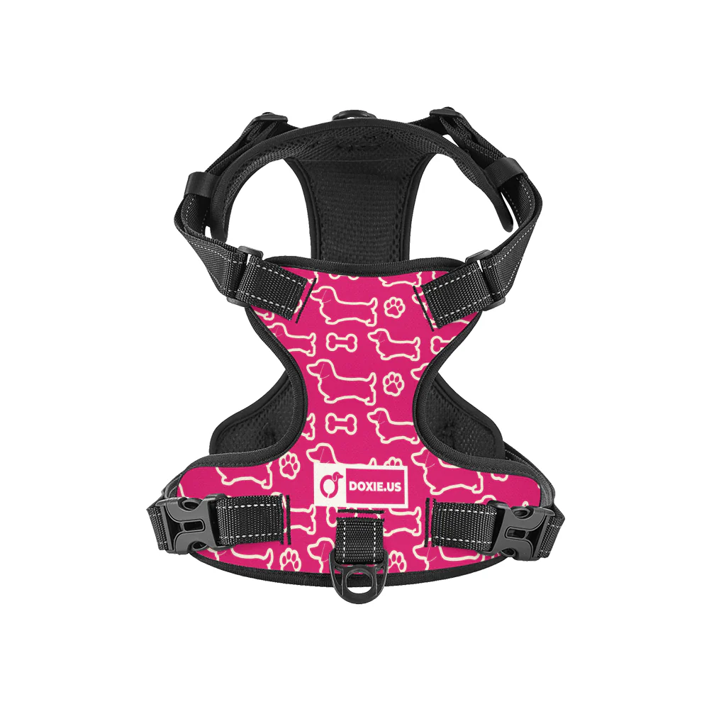 Rusty - No-Pull Dachshund Dog Harness - Image 6