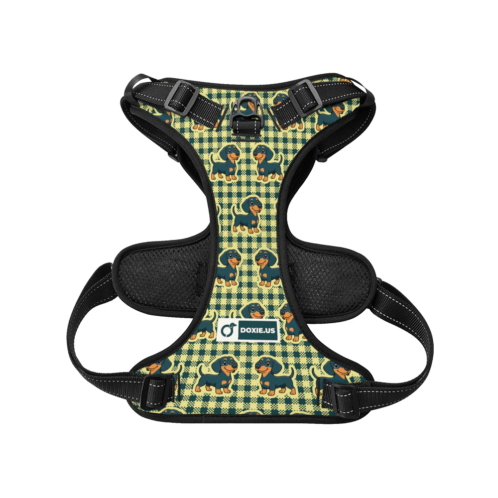 Snickers - No-Pull Dachshund Dog Harness - Image 4