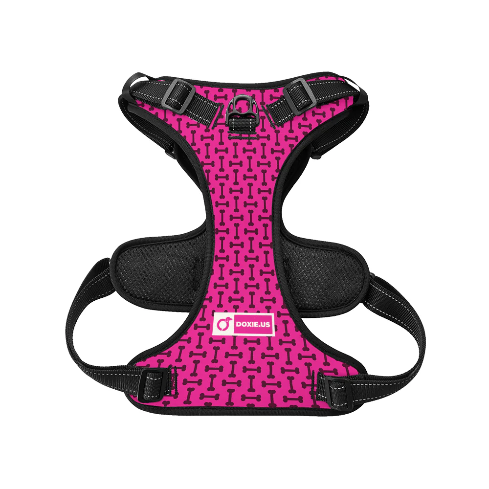 Waffles - No-Pull Dachshund Dog Harness - Image 3