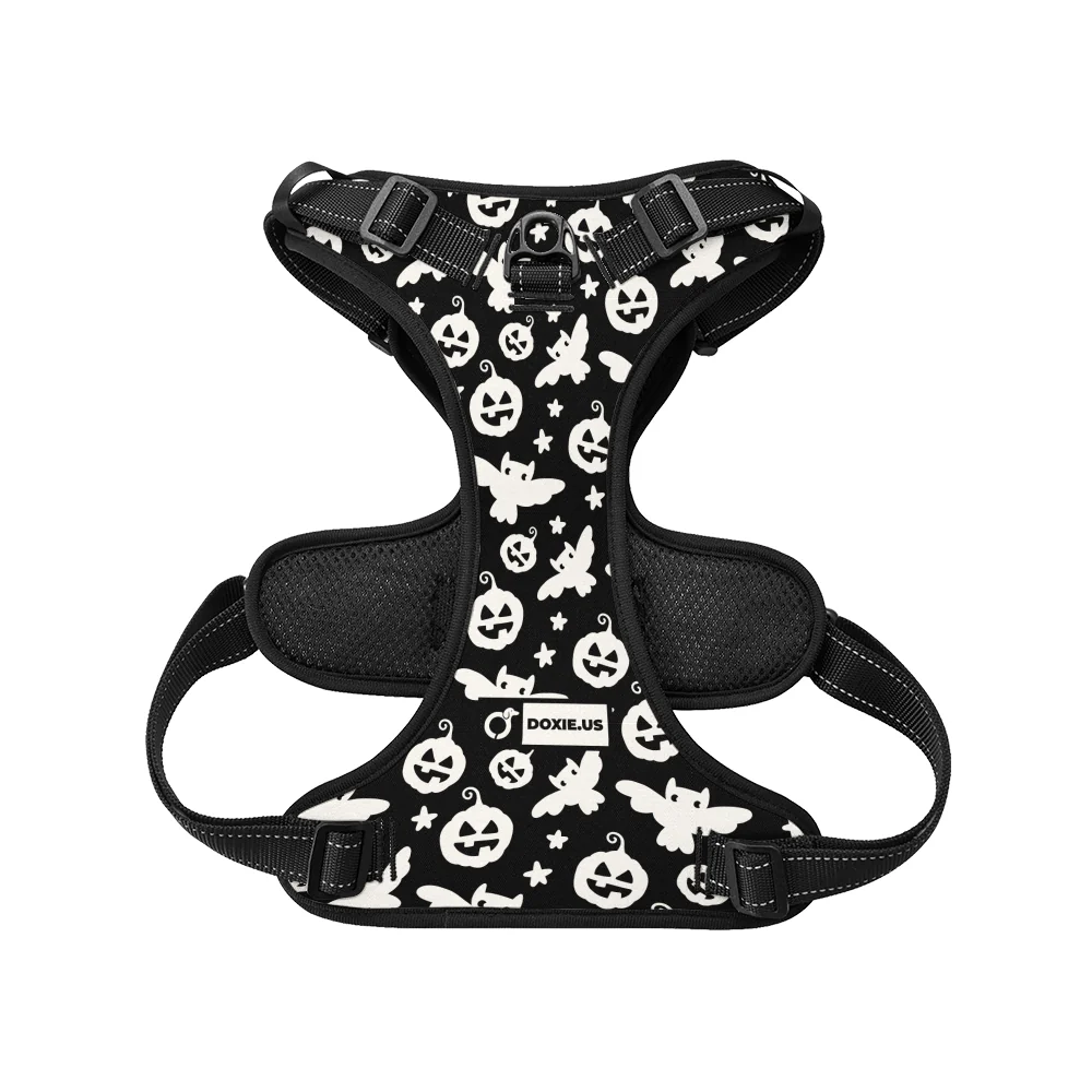 Poppy - No-Pull Dachshund Dog Harness - Image 6