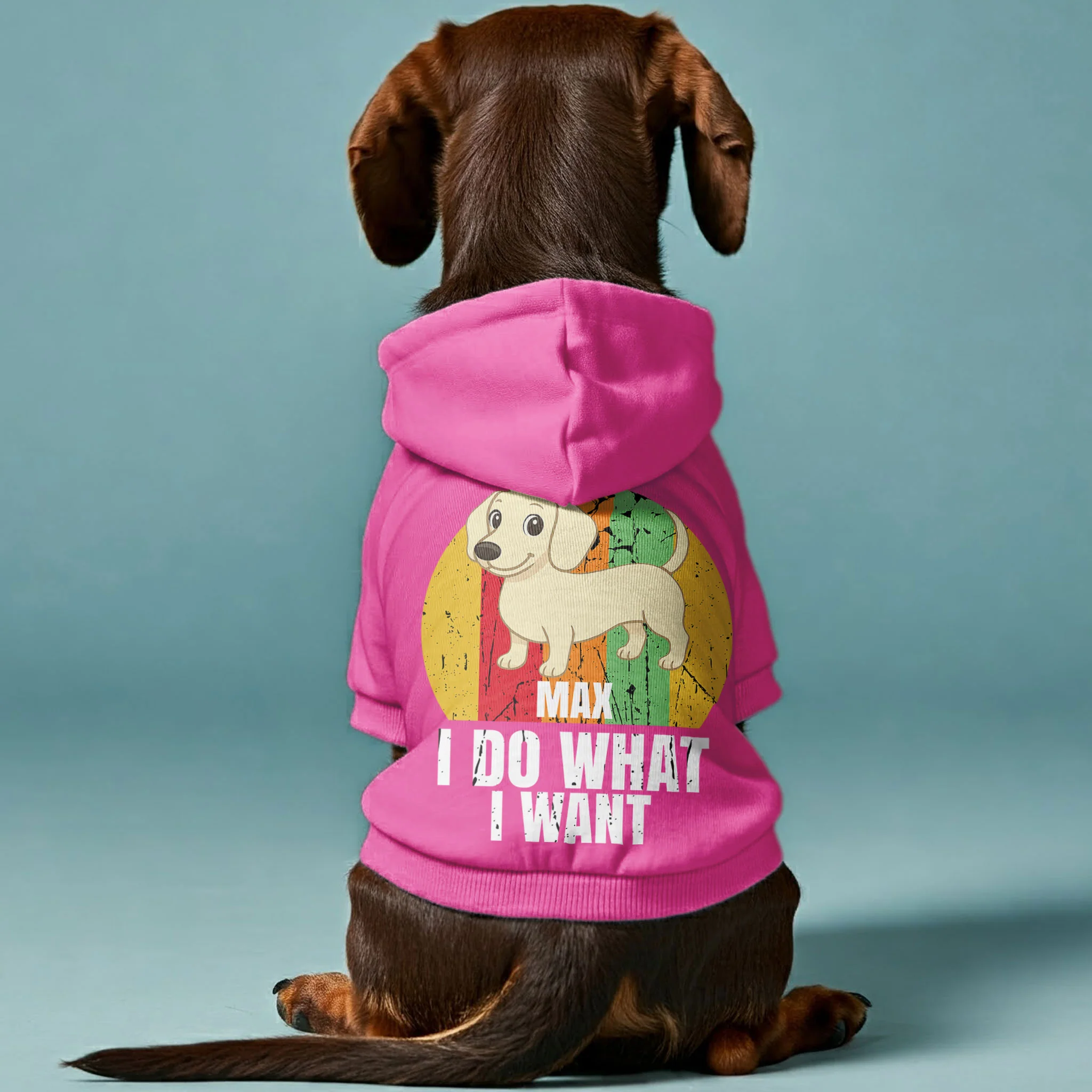 I Do What I Want – Personalized Dachshund Hoodies with Your Doxie’s Name & Clipart – Stylish, Cozy & Made from Premium 100% Cotton - Image 3
