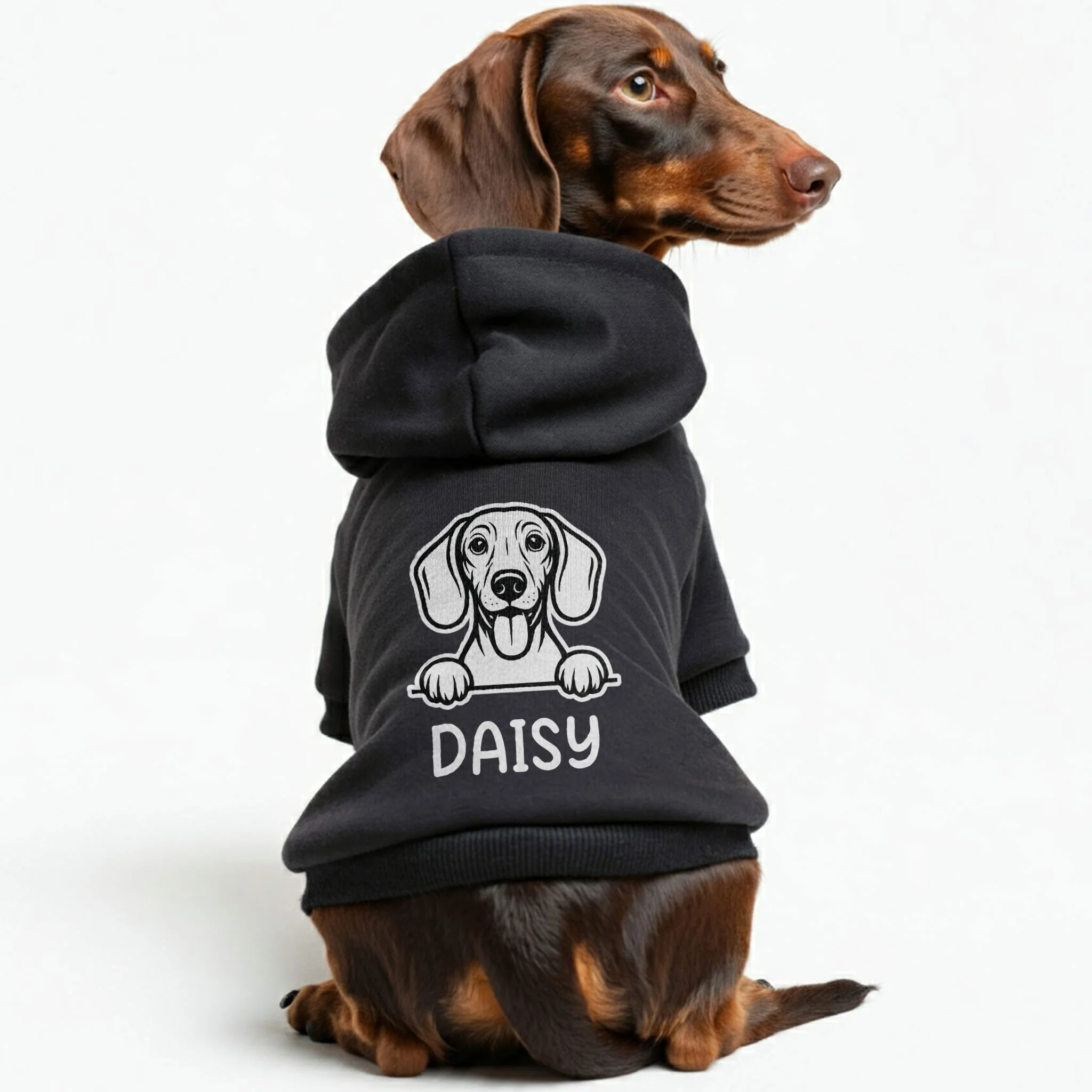 DAISY - Personalized Dachshund Hoodies with your doxie name – Stylish, Cozy, and Premium 100% Cotton - Image 2