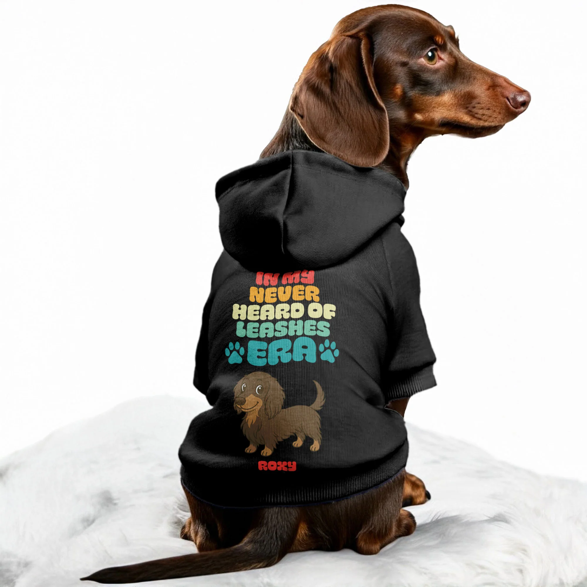 What leash– Personalized Dachshund Hoodies with Your Doxie’s Name & Clipart – Stylish, Cozy & Made from Premium 100% Cotton - Image 4