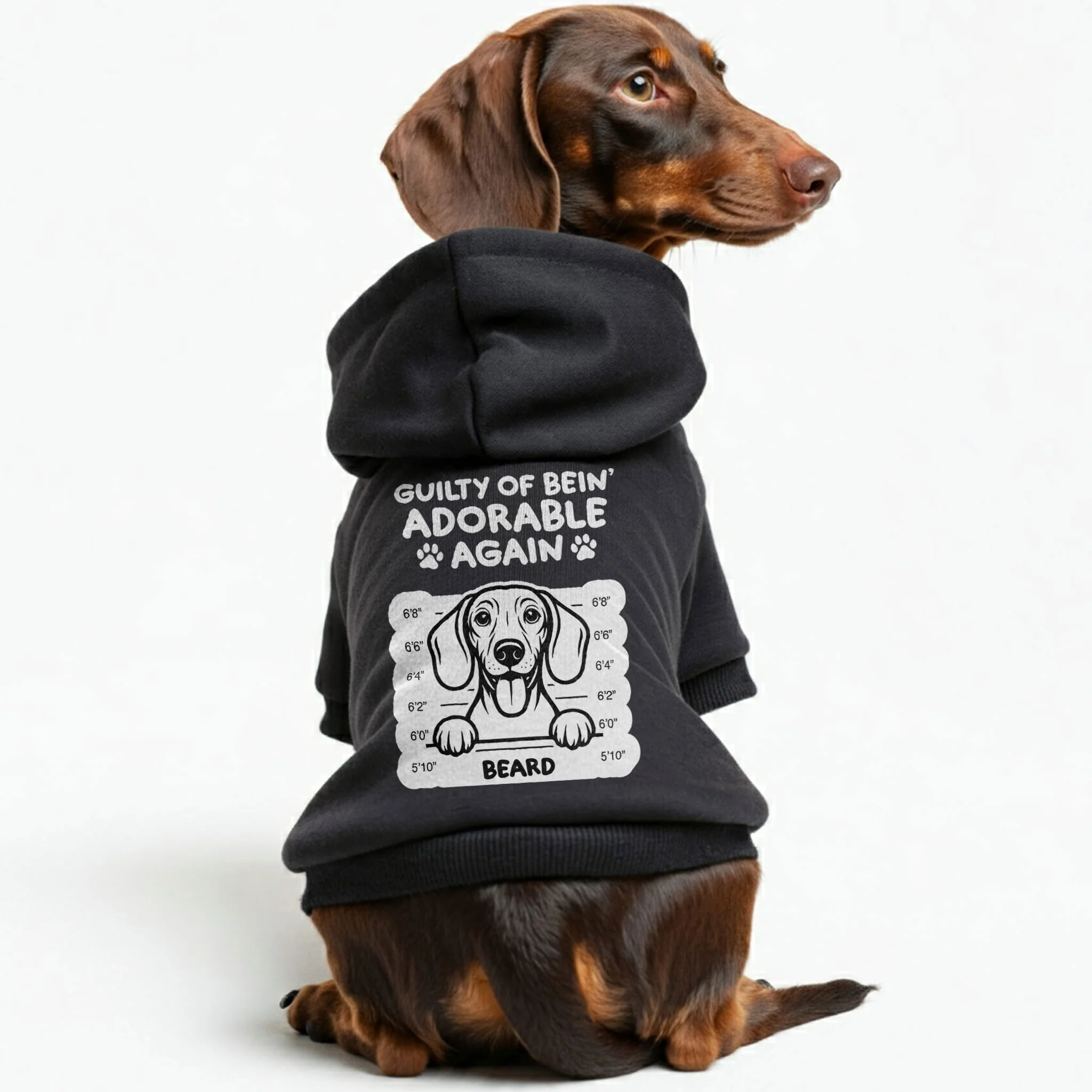 Guilty of bein’ - Personalized Dachshund Hoodies with your doxie name – Stylish, Cozy, and Premium 100% Cotton - Image 2
