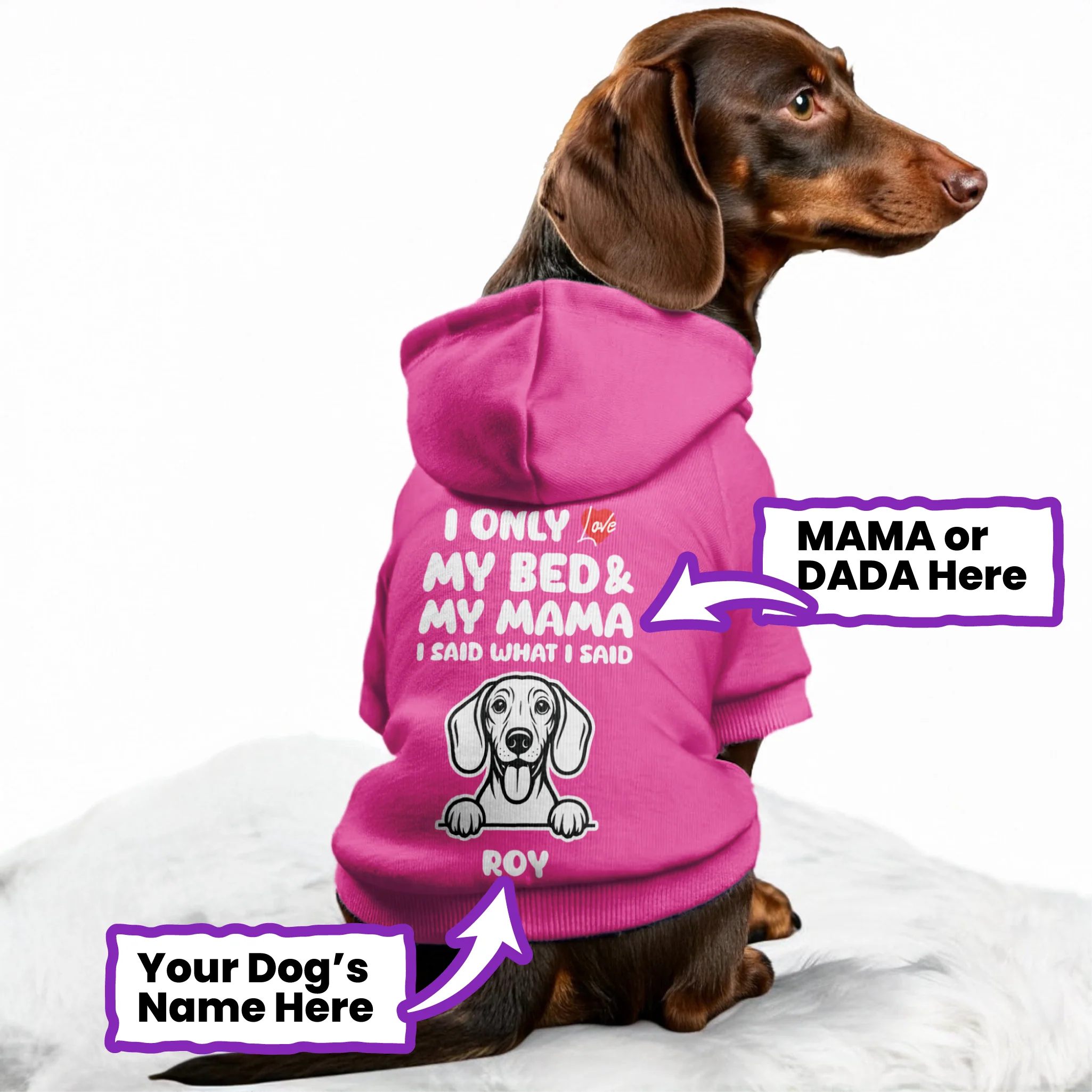 I ONLY LOVE - Personalized Dachshund Hoodies with MAMA or DADA design and your doxie name– Stylish, Cozy, and Premium 100% Cotton