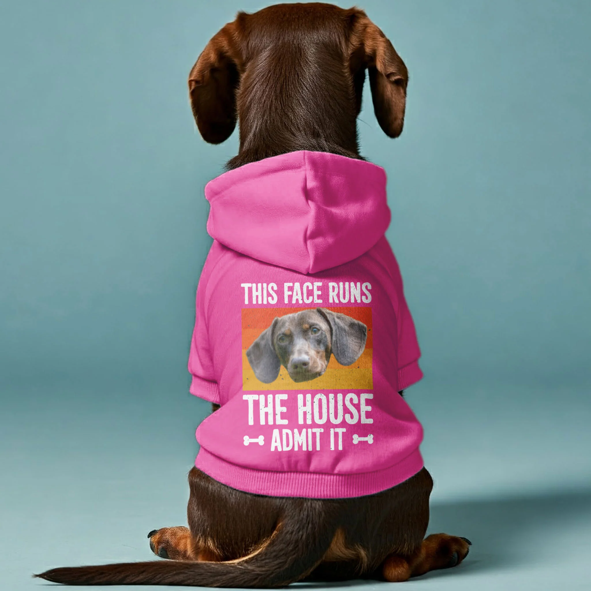 This Face – Personalized Dachshund Hoodies with Your Doxie’s Photo – Stylish, Cozy & Made from Premium 100% Cotton - Image 3