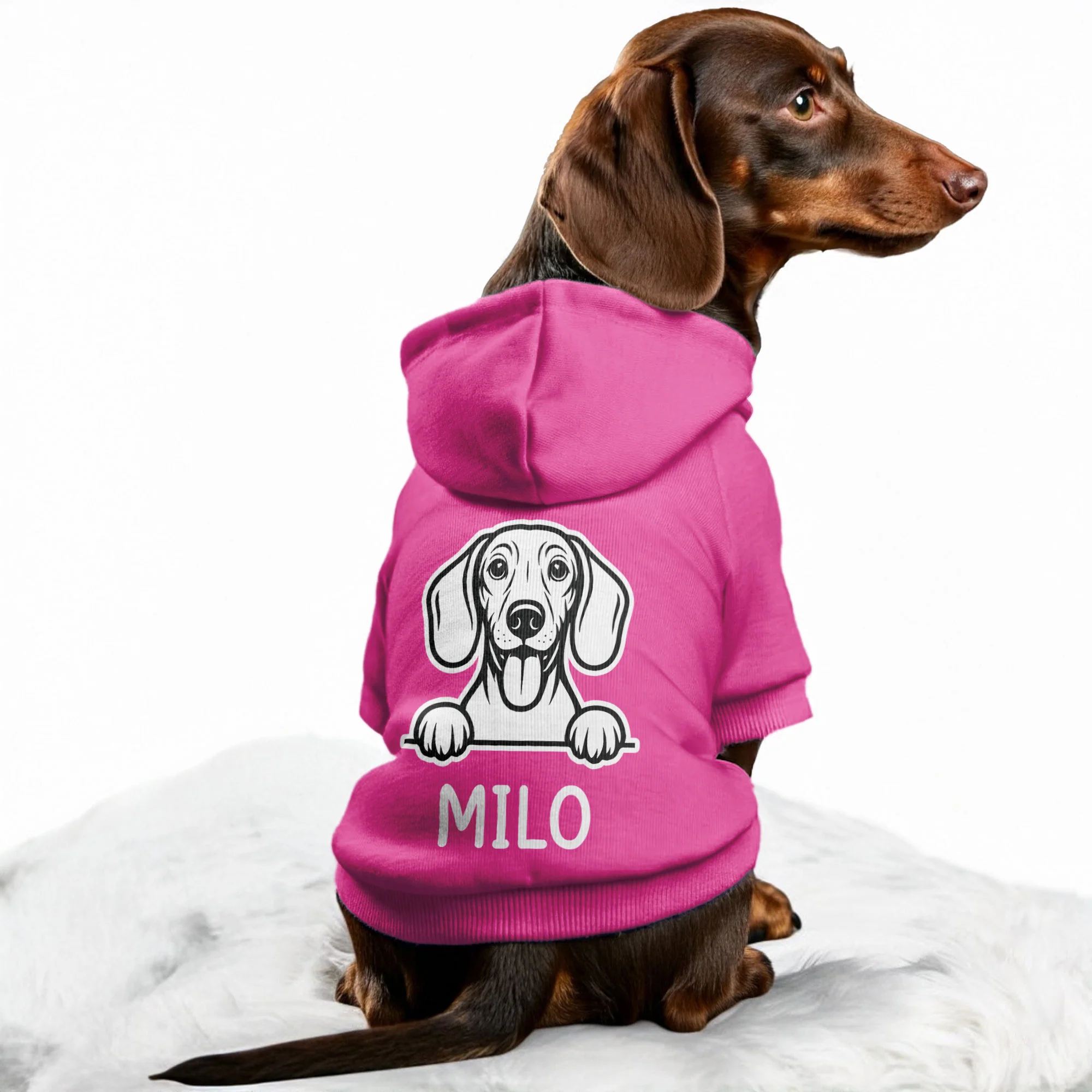 DAISY - Personalized Dachshund Hoodies with your doxie name – Stylish, Cozy, and Premium 100% Cotton - Image 4