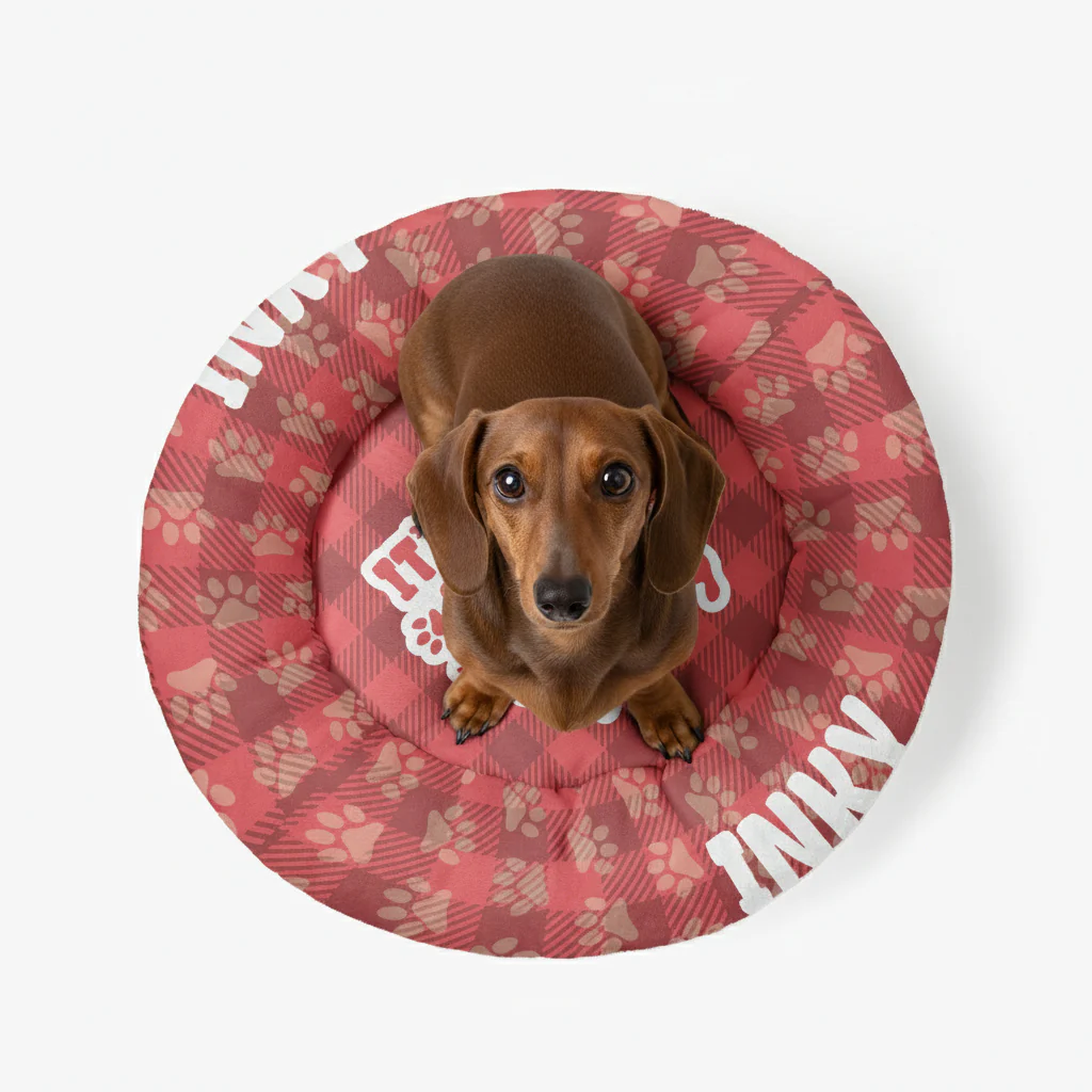Winnie - Personalized Cloud-Comfort Large Dachshund Bed | Anti-Anxiety Donut Bed for Dachshunds - Image 3