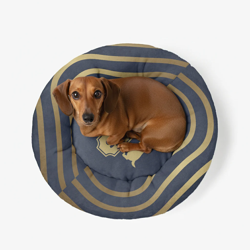 Ingrid - Personalized Cloud-Comfort Large Dachshund Bed | Anti-Anxiety Donut Bed for Dachshunds - Image 3
