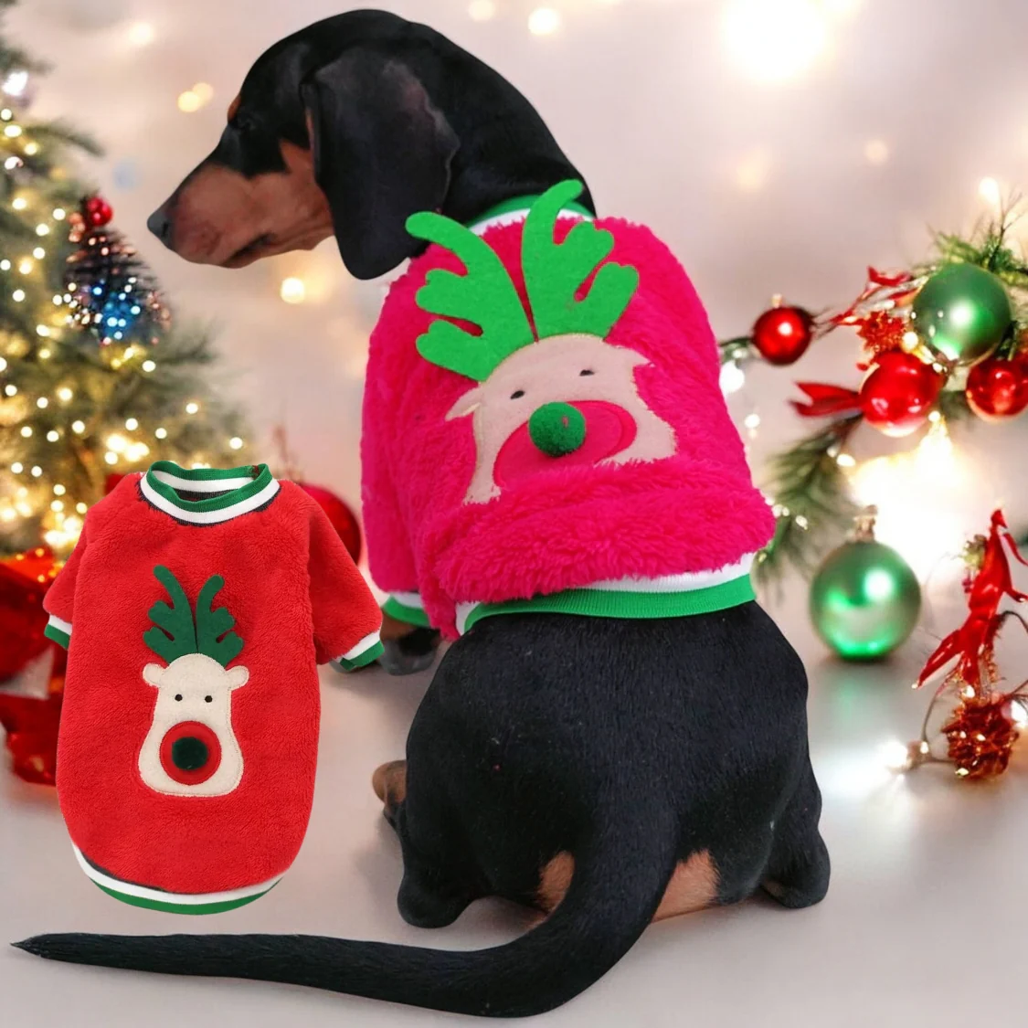 Doxie Coral Fleece Christmas Sweater - Festive Reindeer Holiday Apparel for Dachshund - Image 3