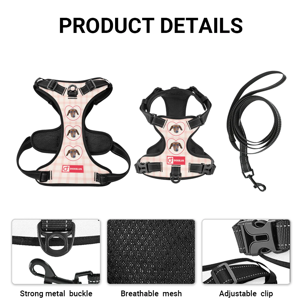 Juno -  Personalized No-Pull Dachshund Dog Harness - Image 5