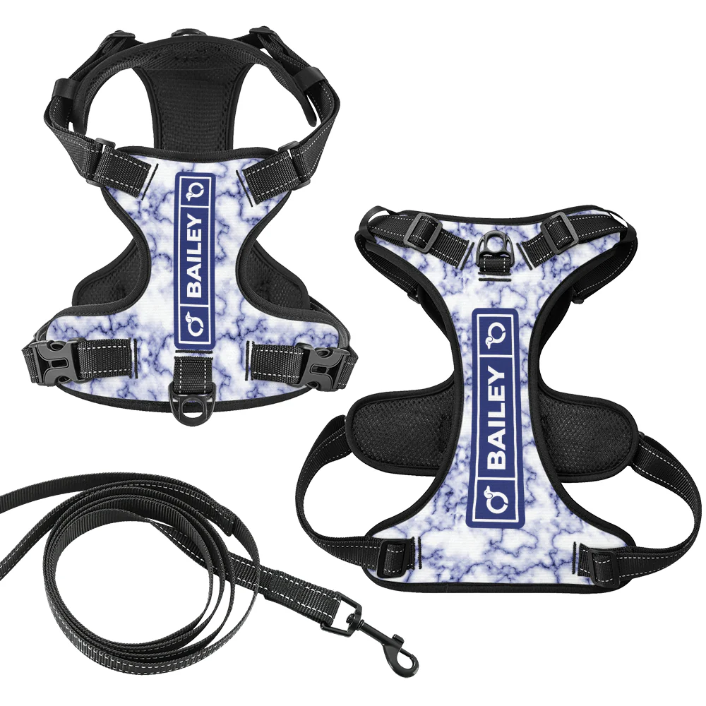 Maximilian - Personalized No-Pull Dachshund Dog Harness - Image 5