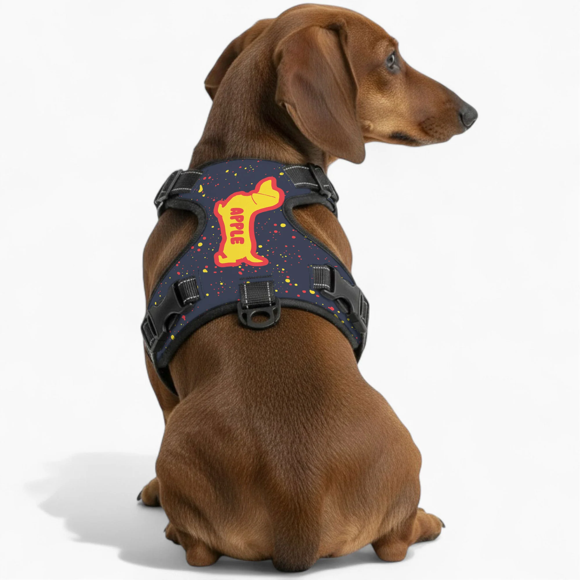 Treacle - Personalized No-Pull Dachshund Dog Harness - Image 3