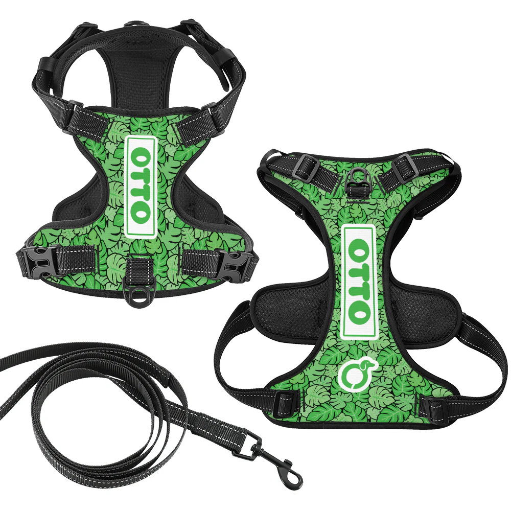 Heinz - Personalized No-Pull Dachshund Dog Harness - Image 8