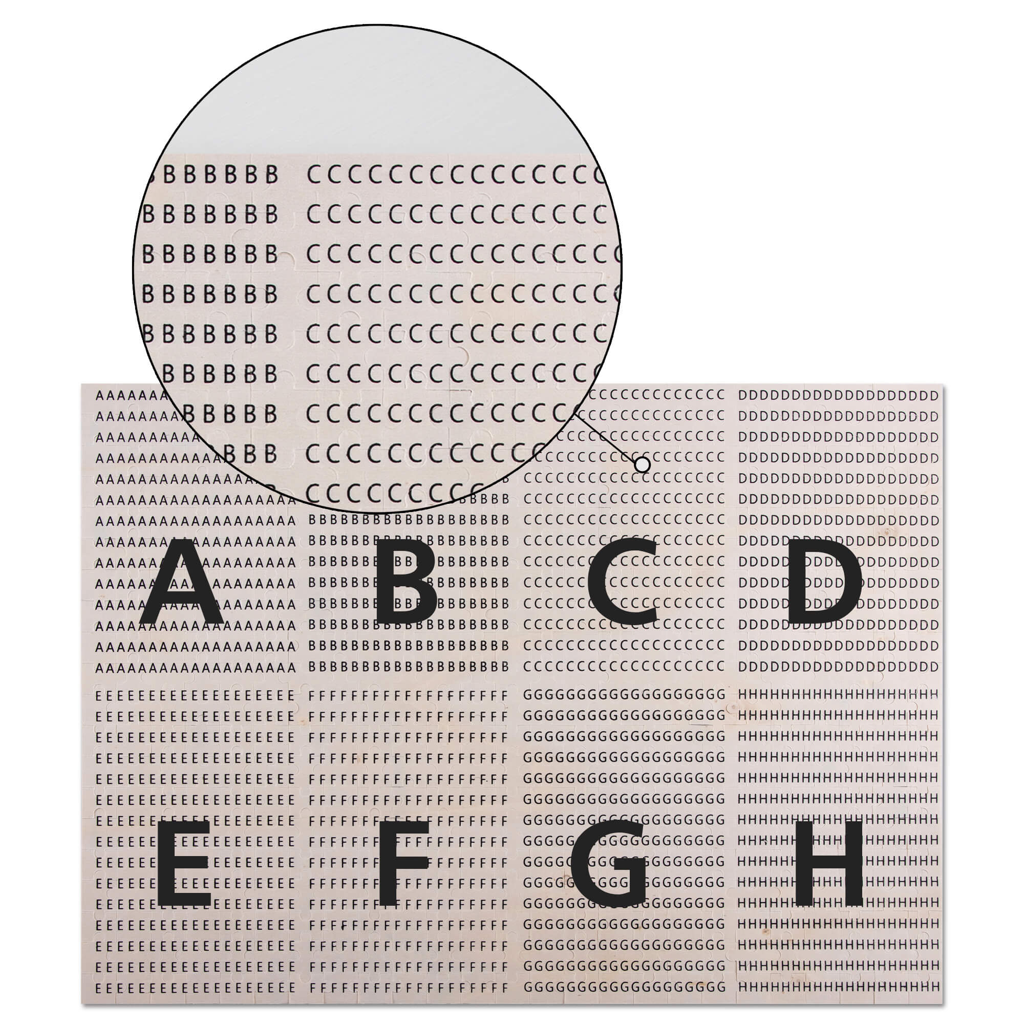 Duchess - Puzzle - Image 5