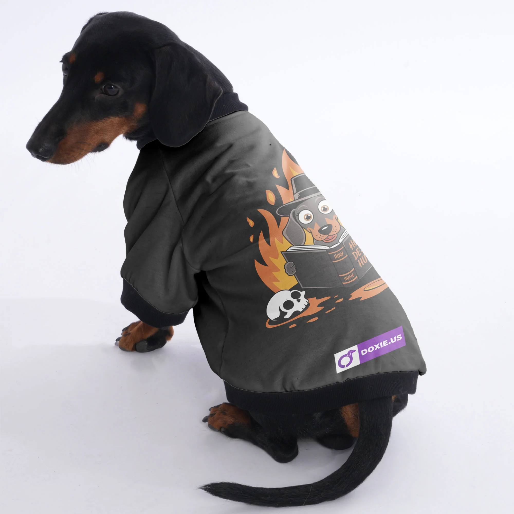 Duke - Jacket for Dachshunds