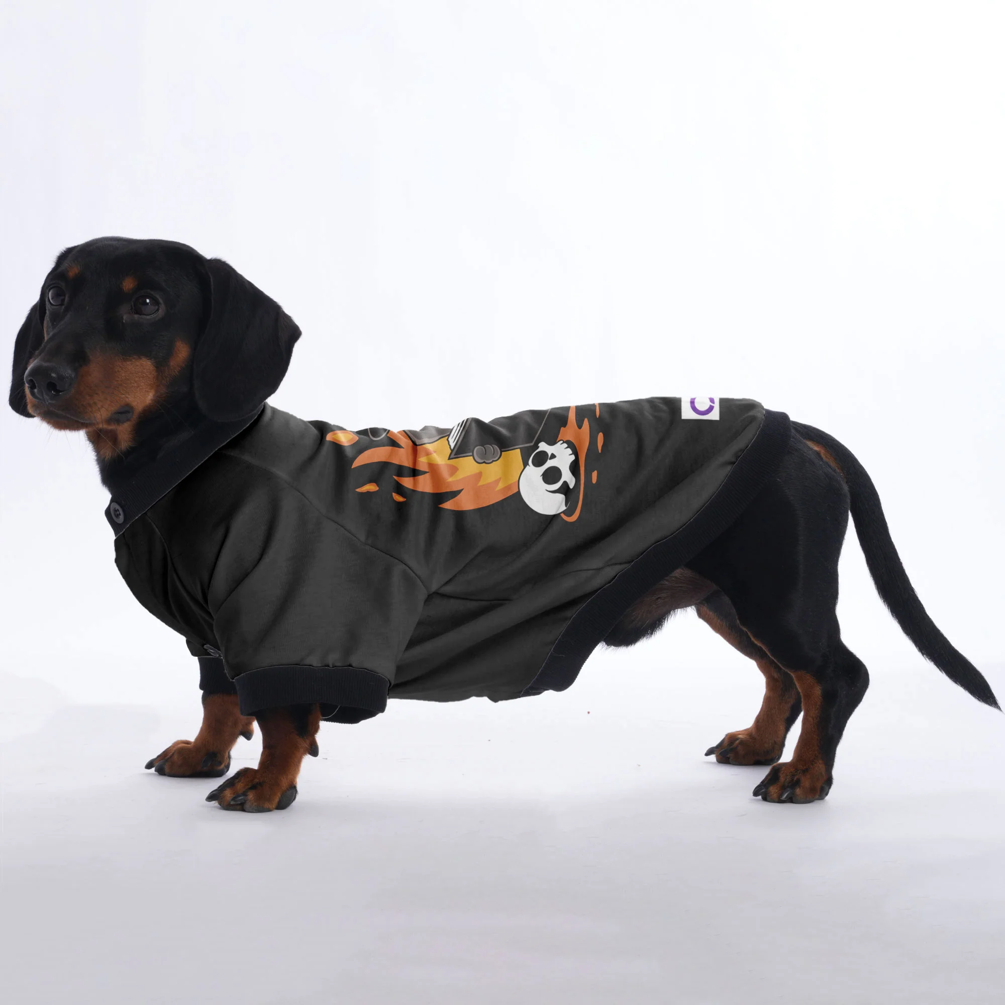 Duke - Jacket for Dachshunds - Image 3