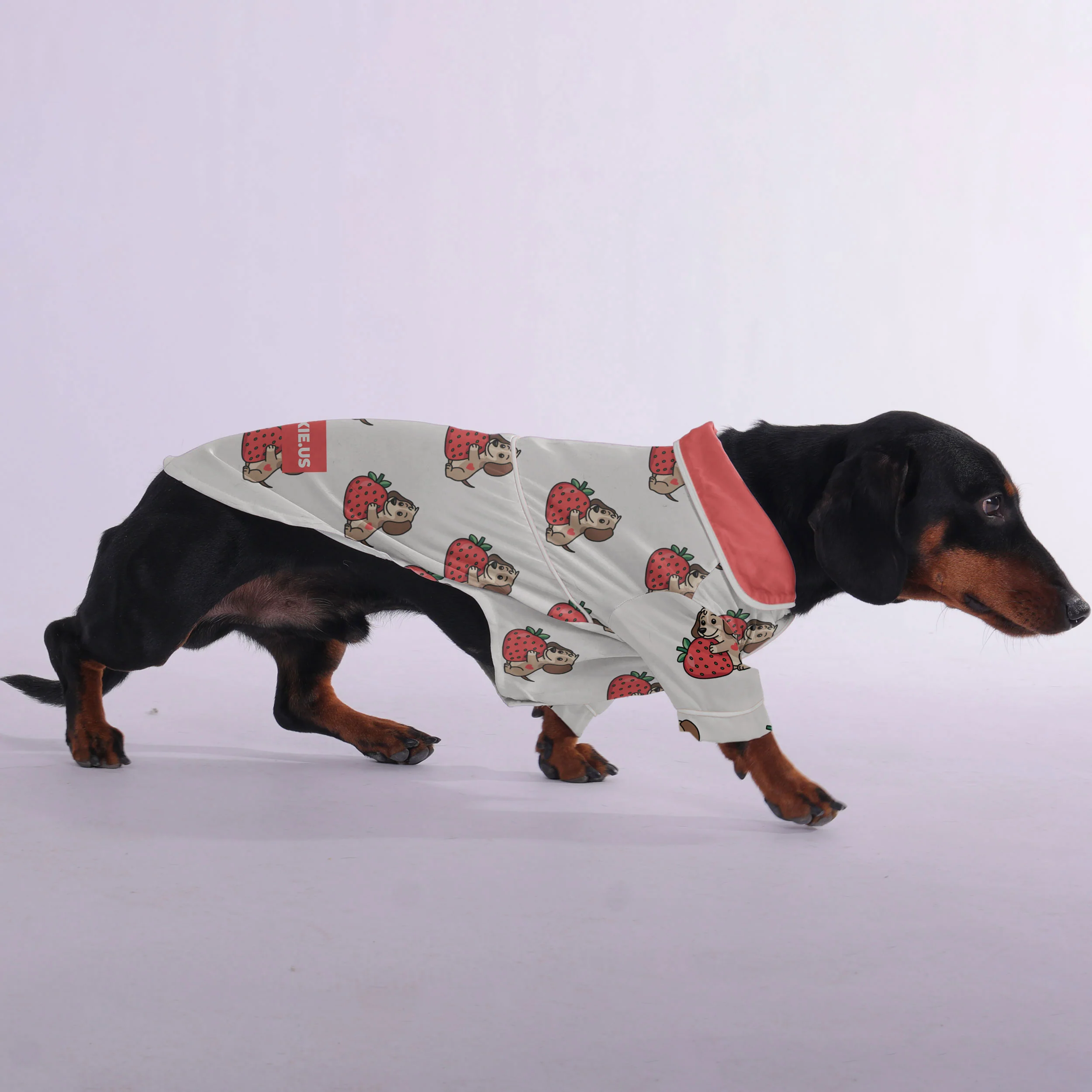 Dylan - Pajamas for Dachshund - Image 3
