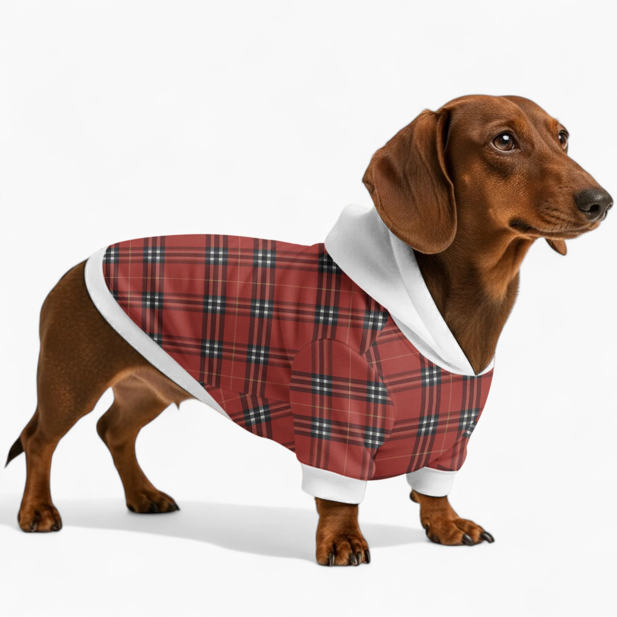 Ella - Dachshund hoodie - Image 2
