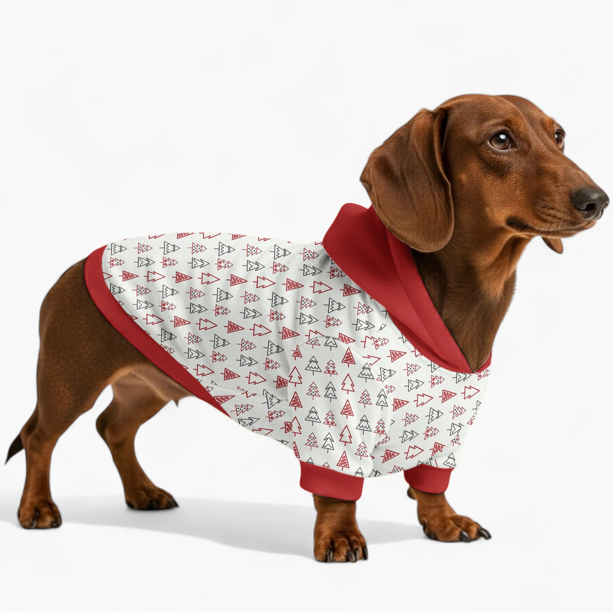 Ember - Dachshund hoodie - Image 2