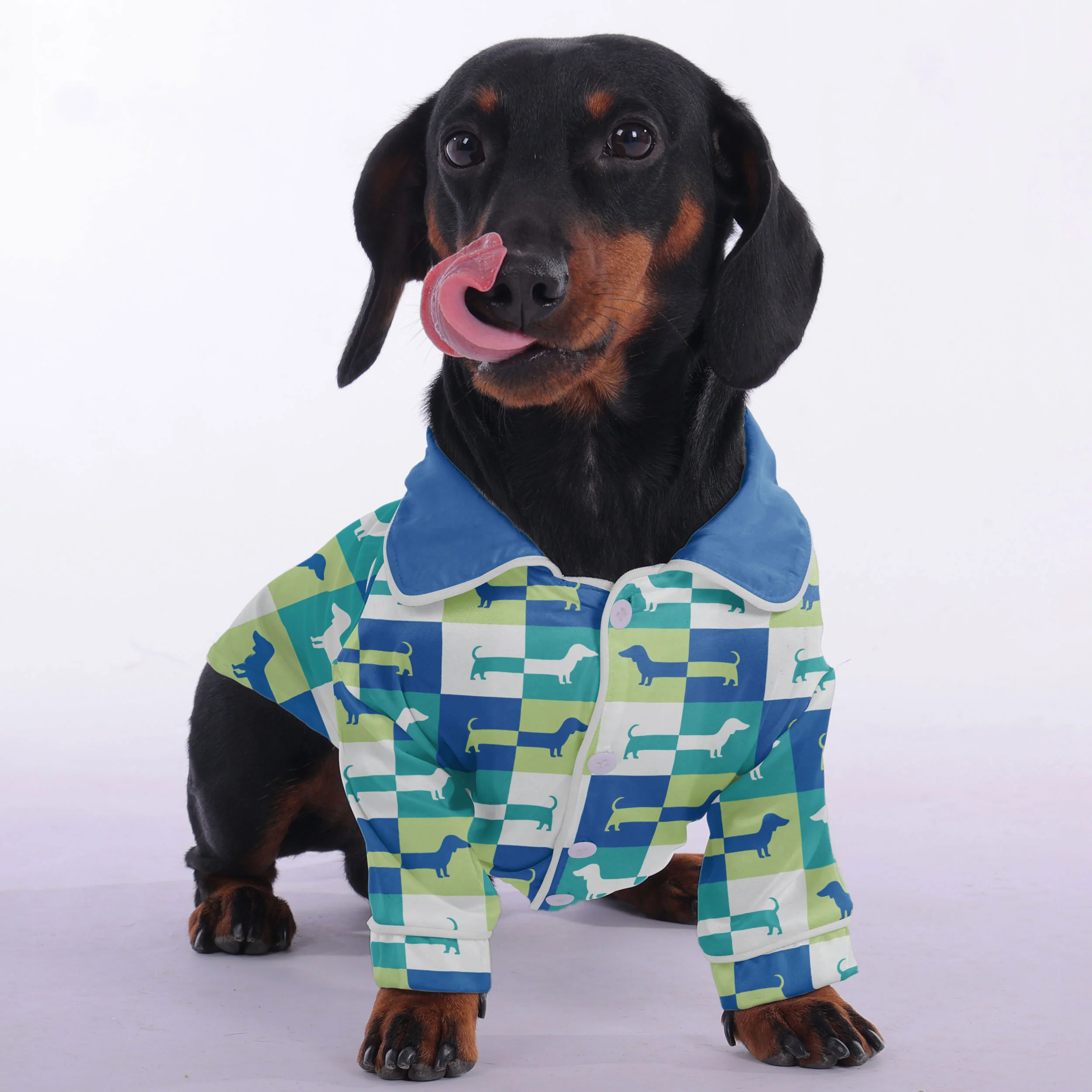 Emma - Pajamas for Dachshund