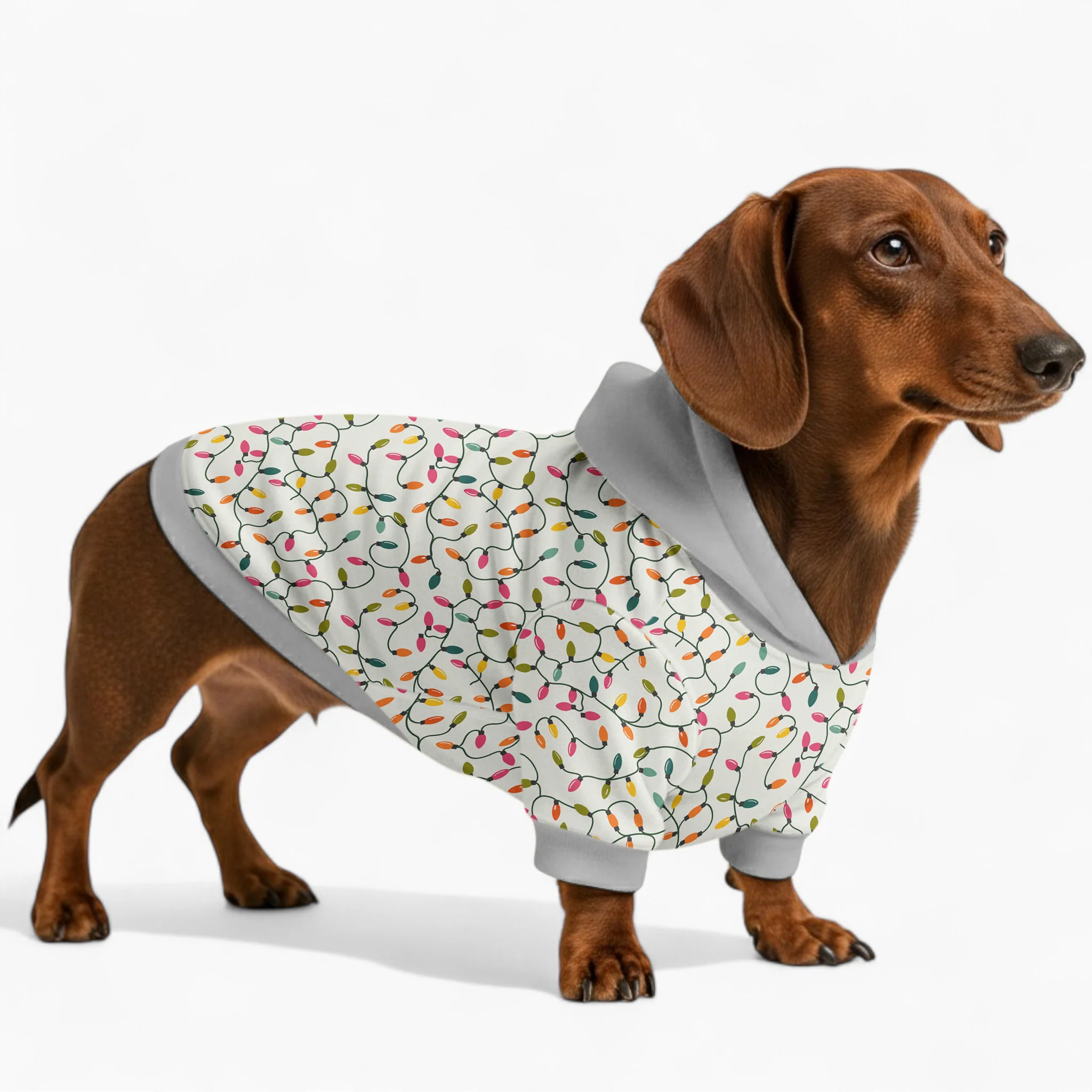 Emmy - Dachshund hoodie - Image 2