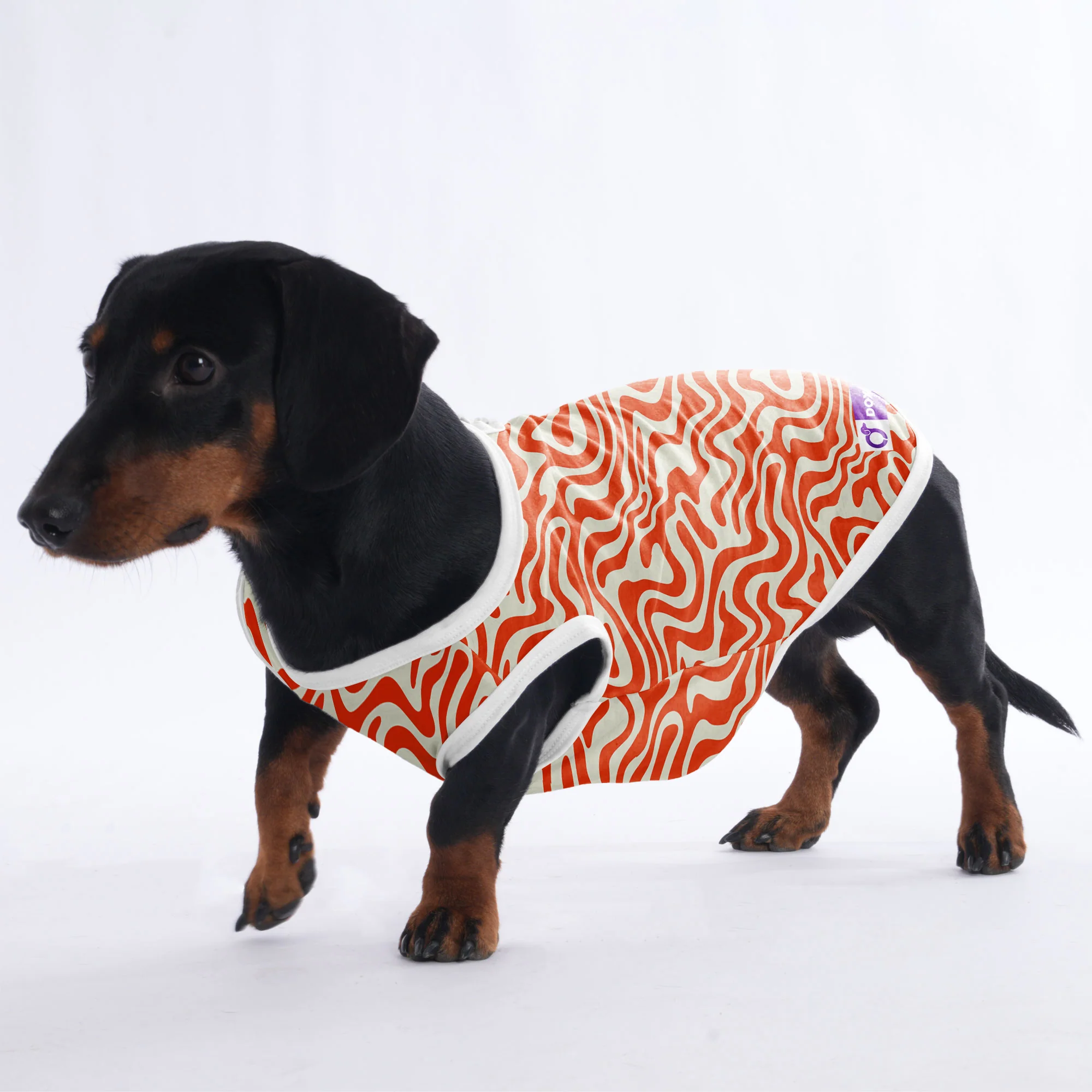 Finn - Shirt for Dachshunds - Image 4