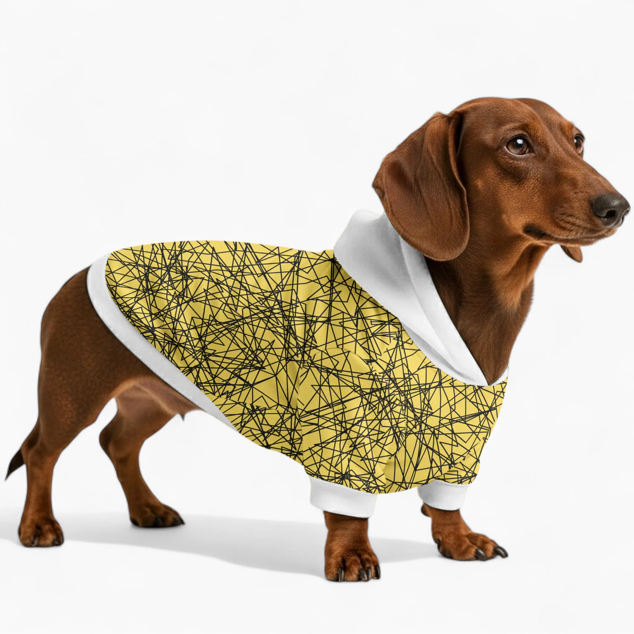 Fiona - Dachshund hoodie - Image 2