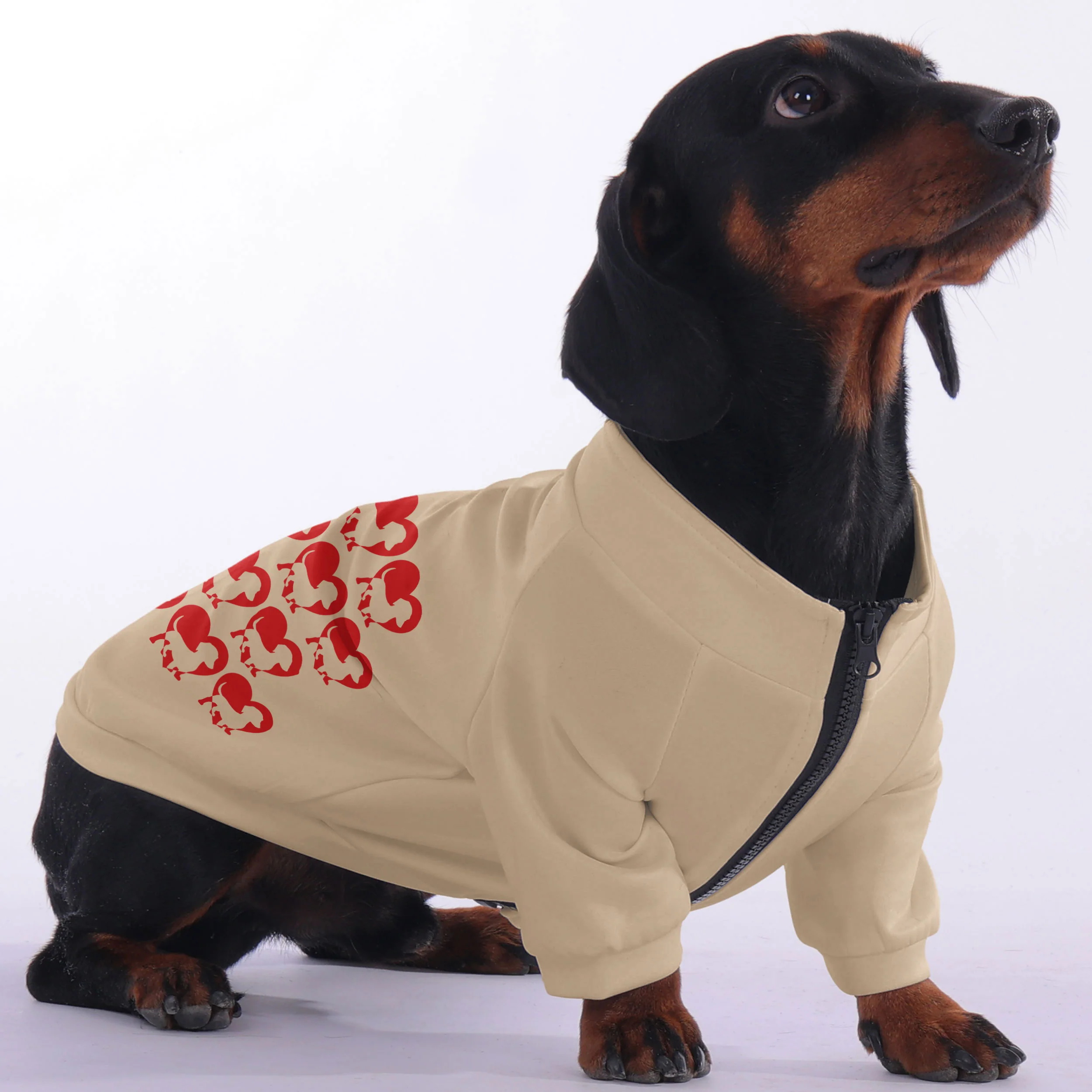 Frankie - zip-up hooded sweatshirt for dachshund - Image 2