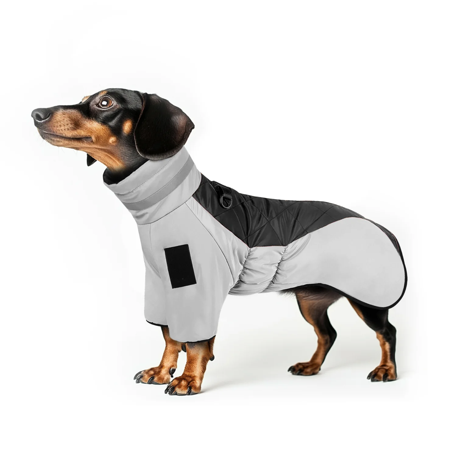 FrostGlow Dachshund Winter Jacket Reflective High Collar Doxie Vest