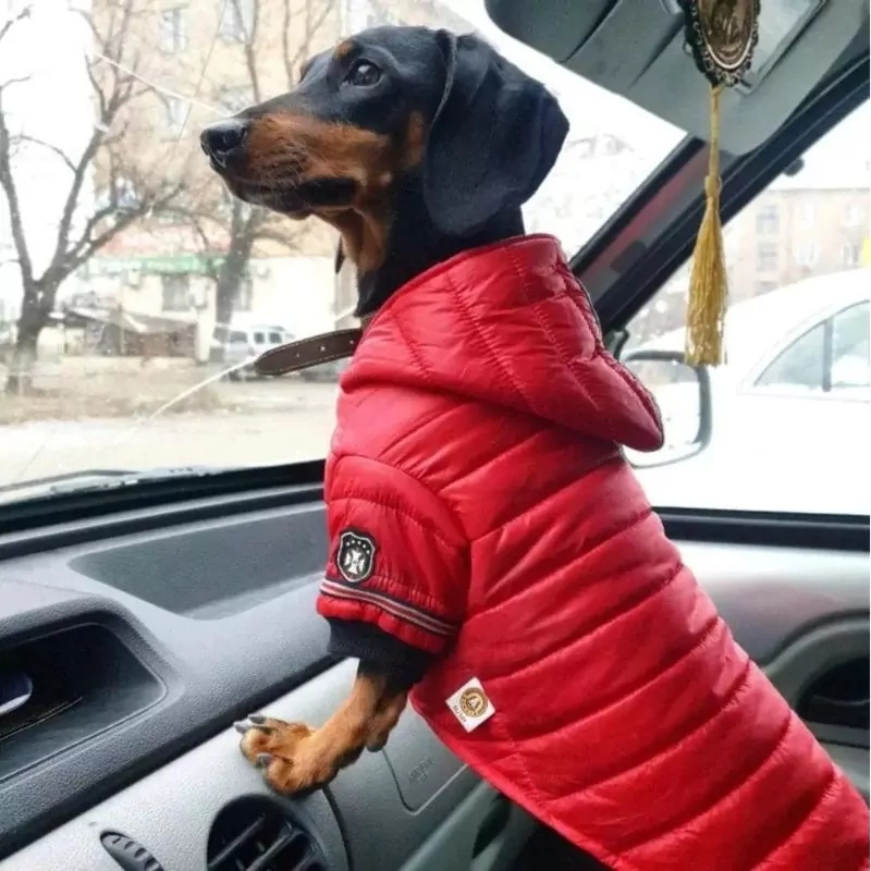 FurFluff Cozy Dachshund Puffer Jacket - Image 4