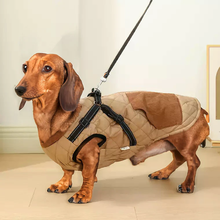 FurSure Luxury Dachshund Jacket with Harness – Functional and Chic