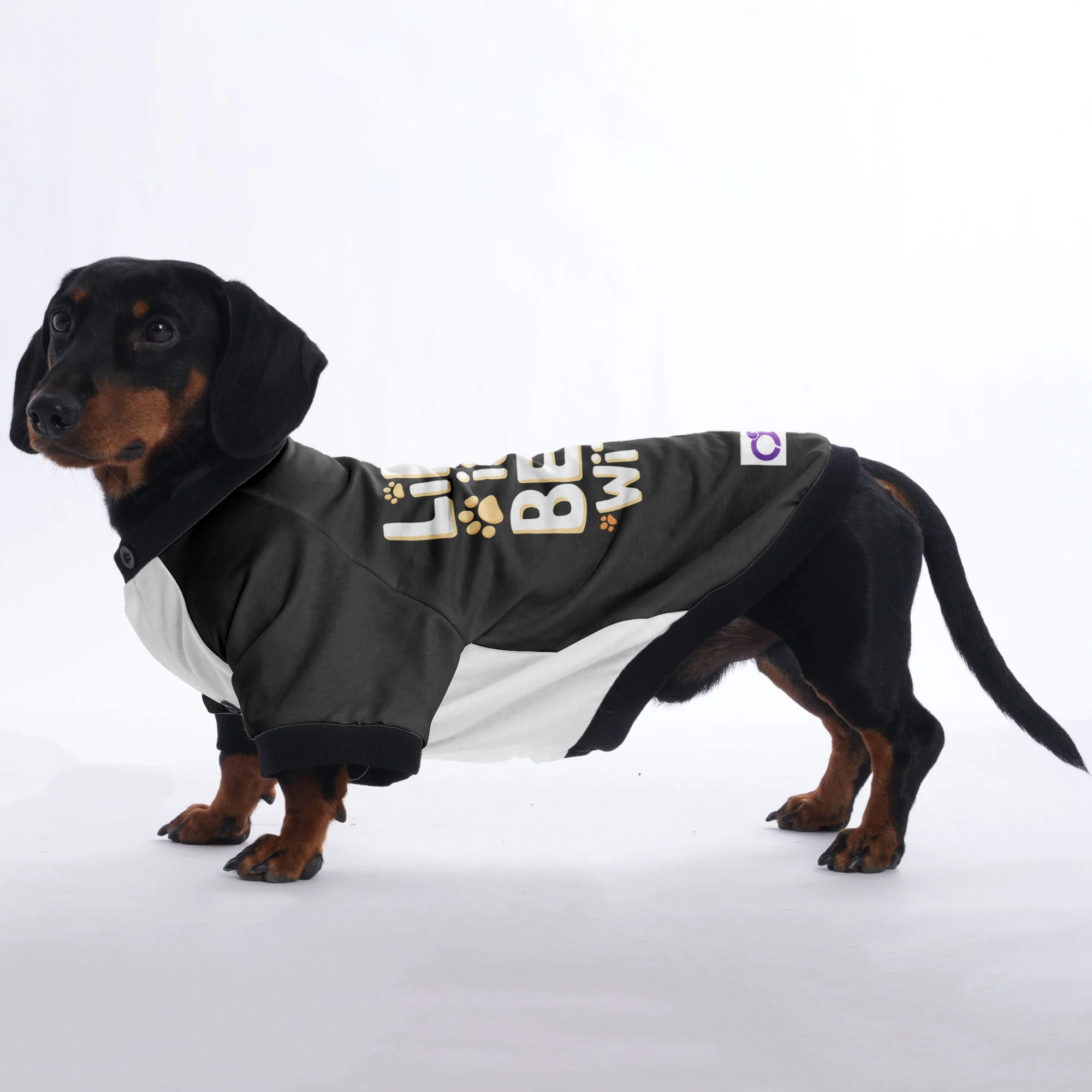 Gigi - Jacket for Dachshunds - Image 5