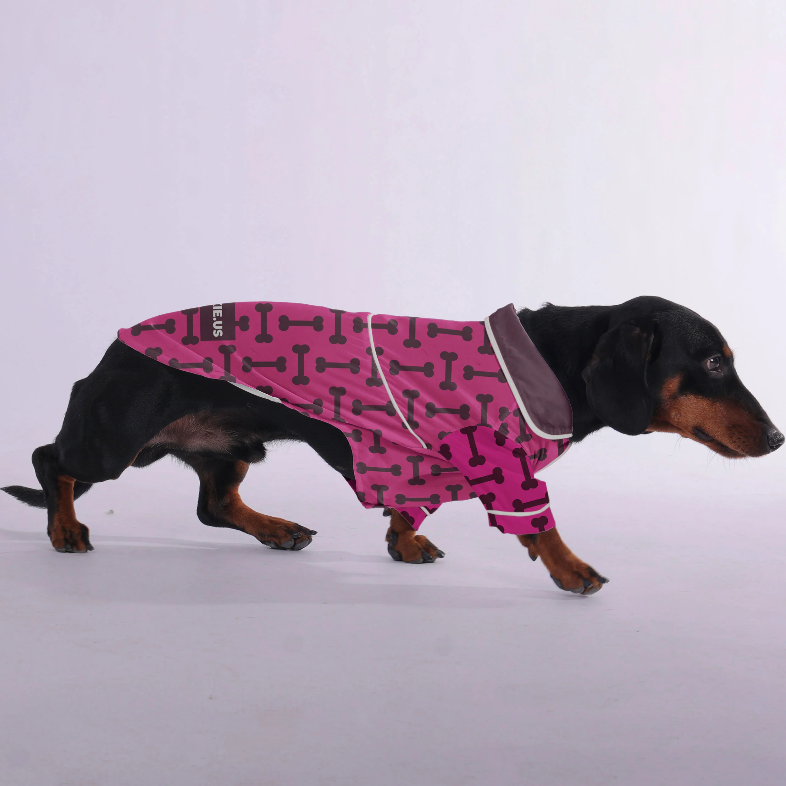 Gilbert - Pajamas for Dachshund - Image 3