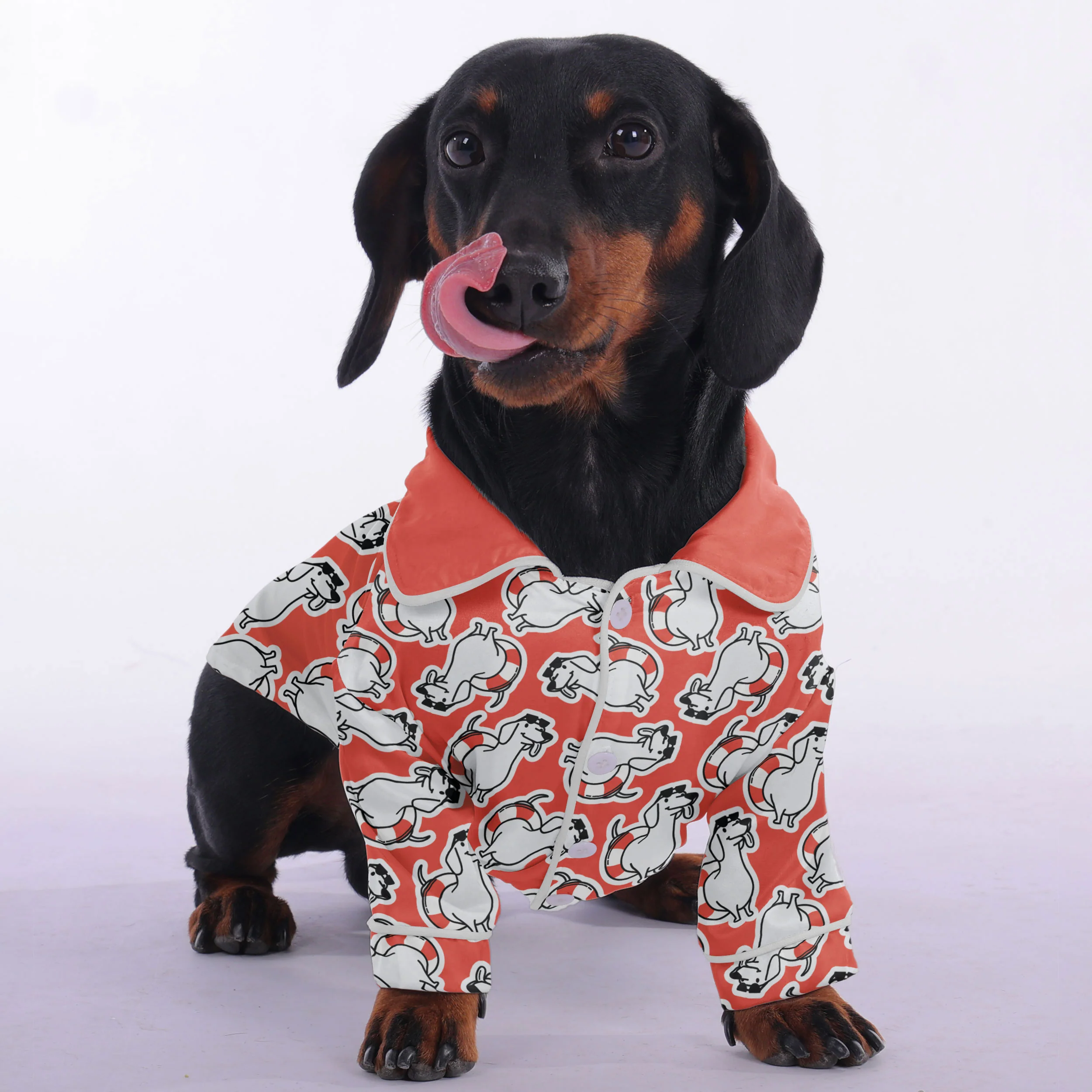 Gilbert- Pajamas for Dachshund