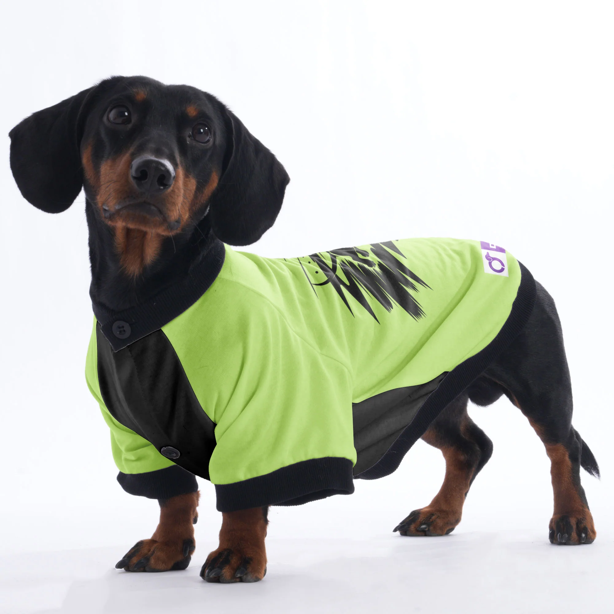 Gracie - Jacket for Dachshunds - Image 4