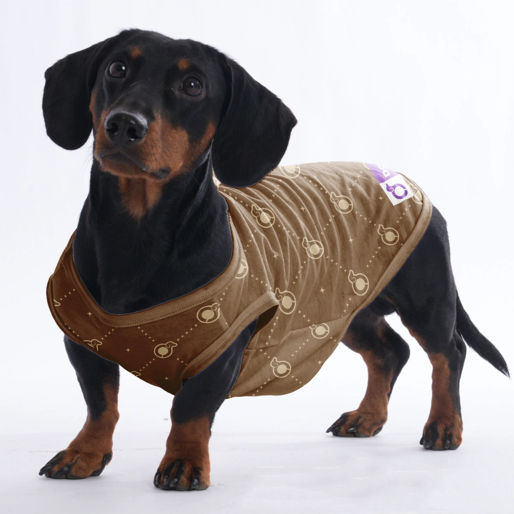 Harris - Shirt for Dachshunds - Image 2