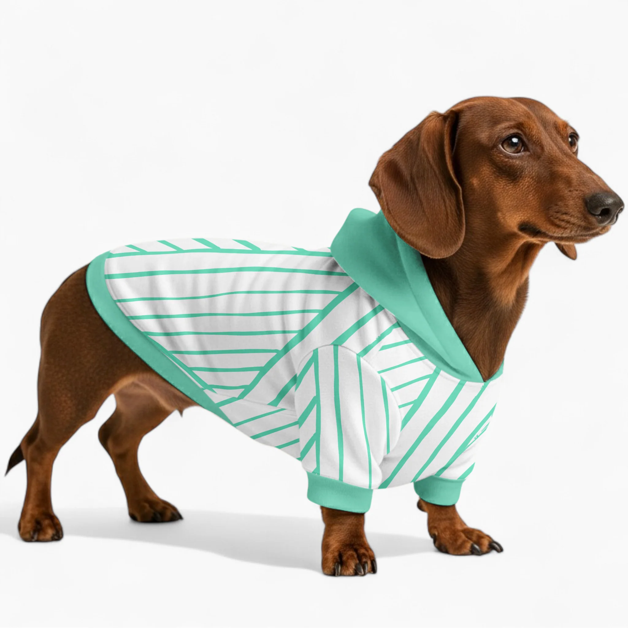 Haven - Dachshund hoodie - Image 2