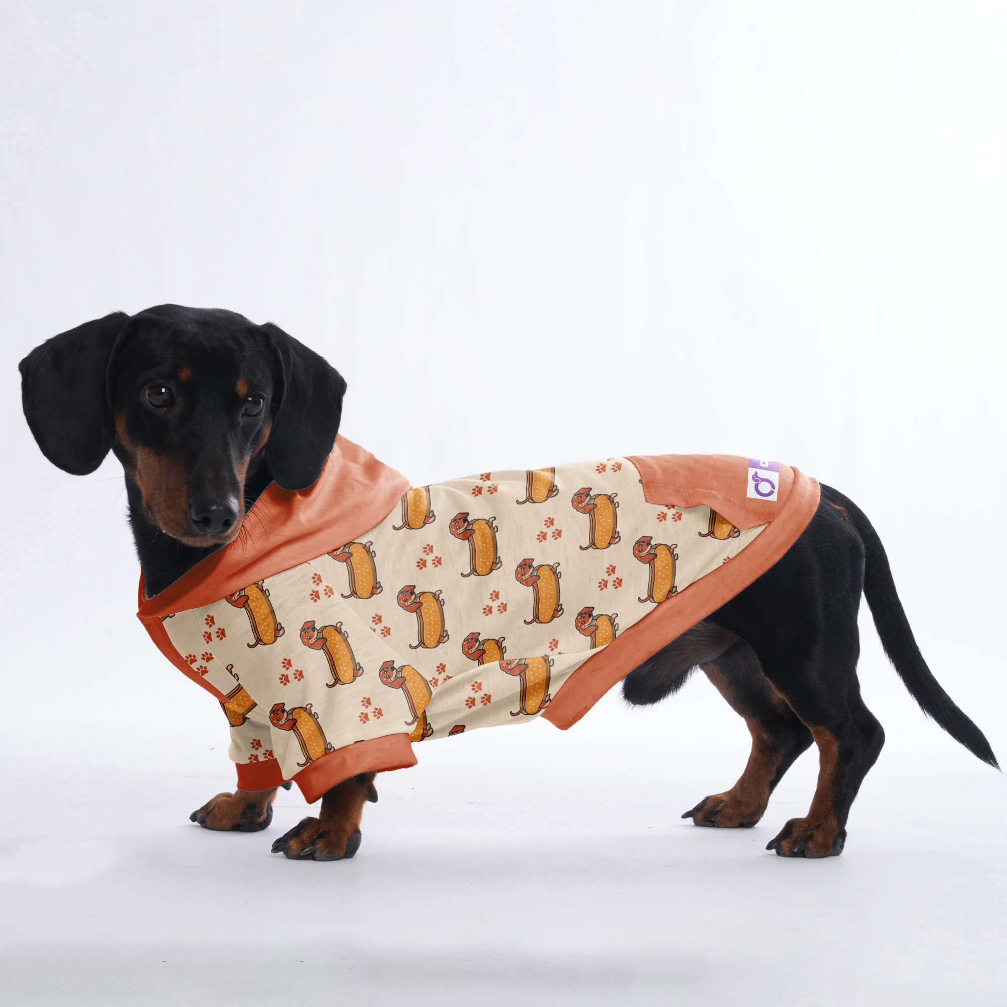 Heidi - Hoodies for Dachshunds - Image 3
