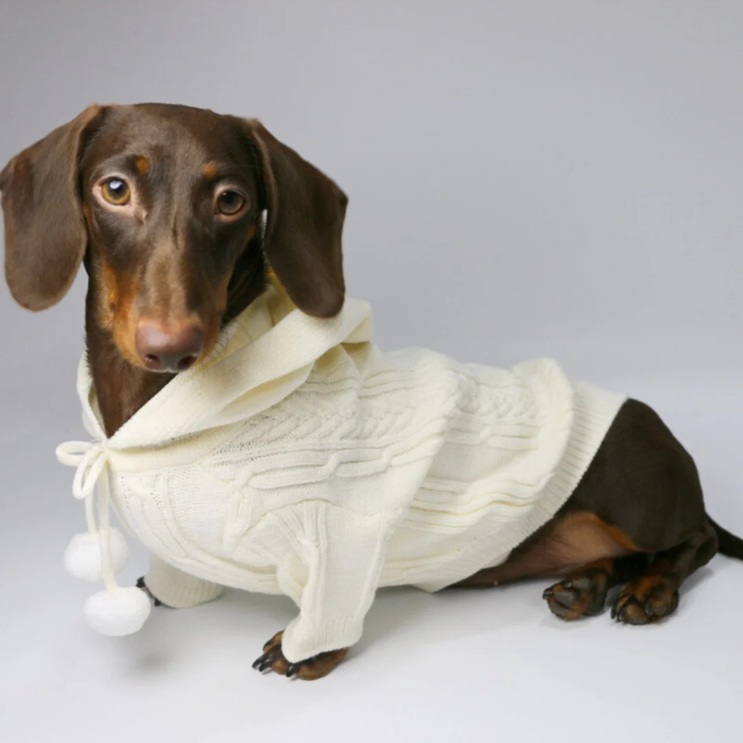HoodPup Dachshund Two-Legged Hooded Sweater - Image 4