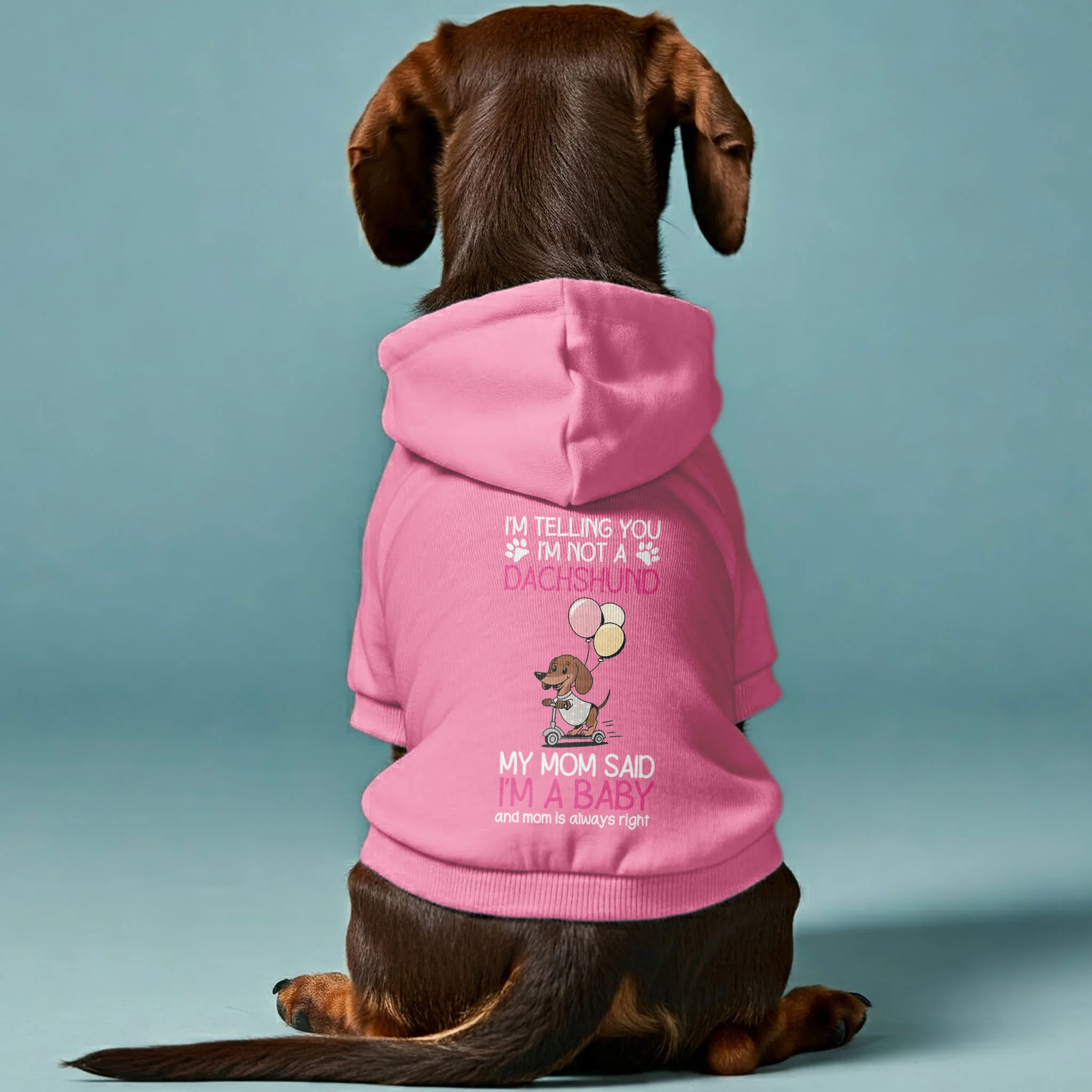 I’m a baby - Personalized Dachshund Hoodies with Funny Quotes – Stylish, Cozy, and Premium 100% Cotton - Image 3