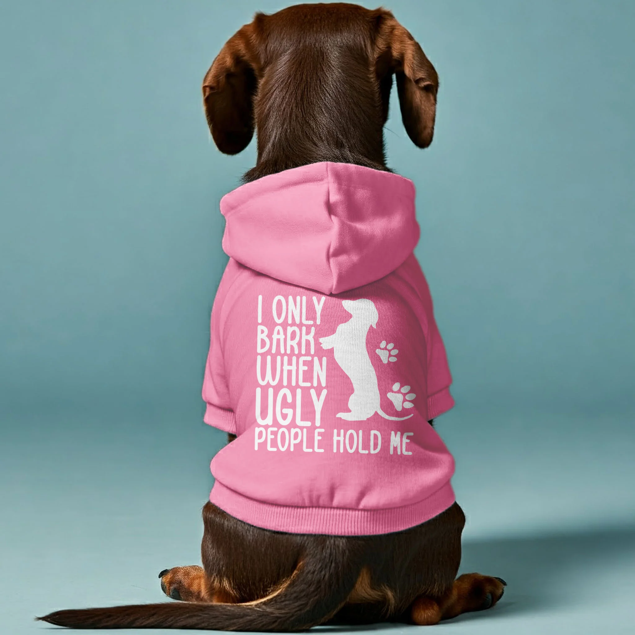 I ONLY BARK WHEN UGLY PEOPLE HOLD ME - Personalized Dachshund Hoodies with Funny Quotes – Stylish, Cozy, and Premium 100% Cotton - Image 2