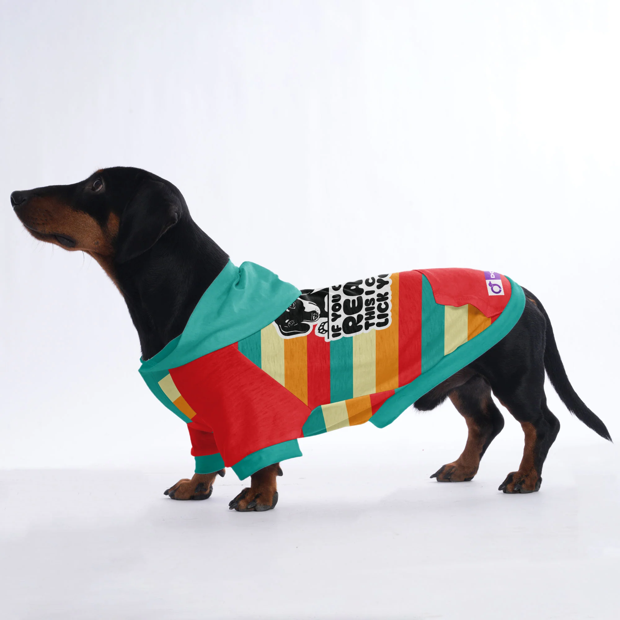 If you can read this , I can lick you - Hoodies for Dachshunds - Image 3