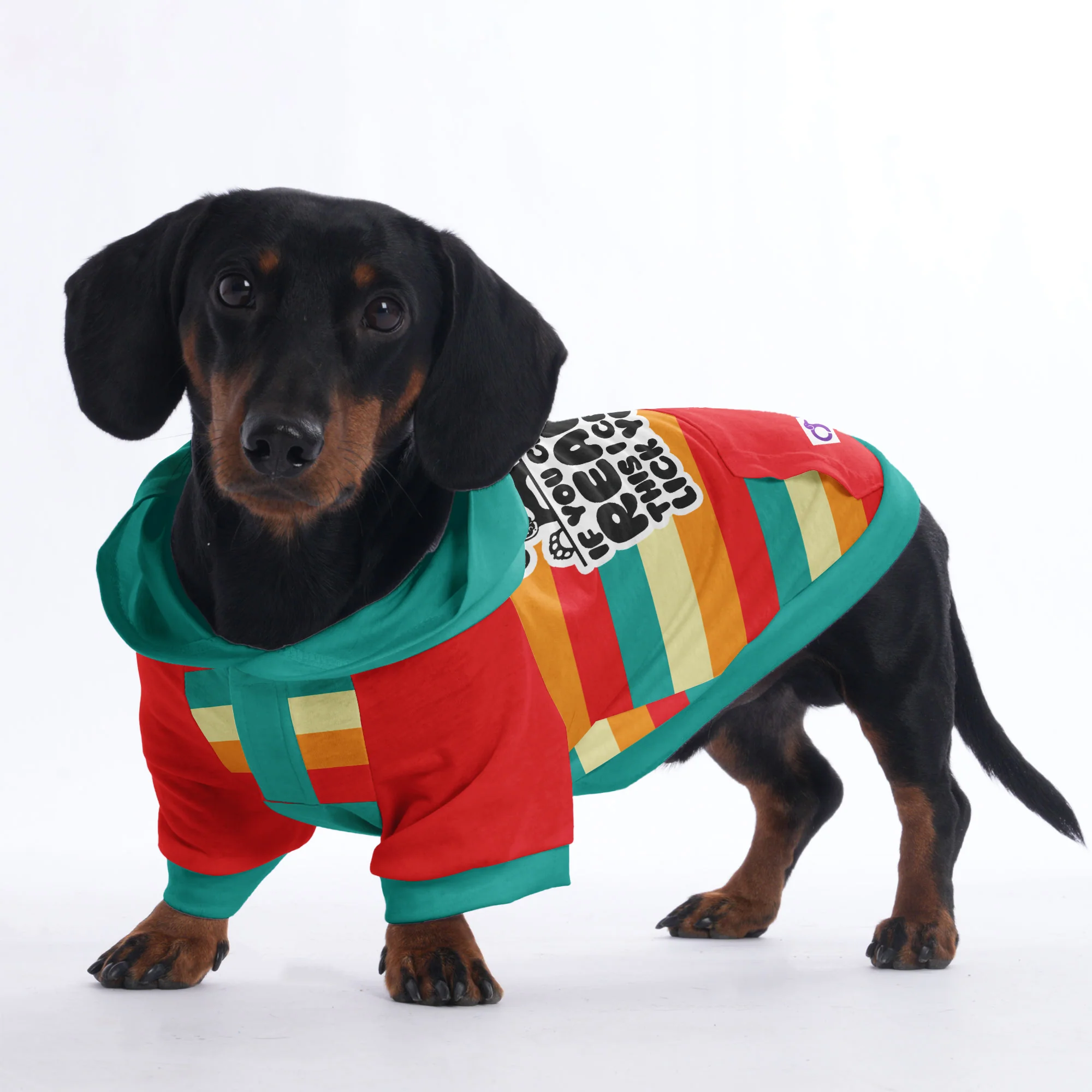 If you can read this , I can lick you - Hoodies for Dachshunds - Image 4